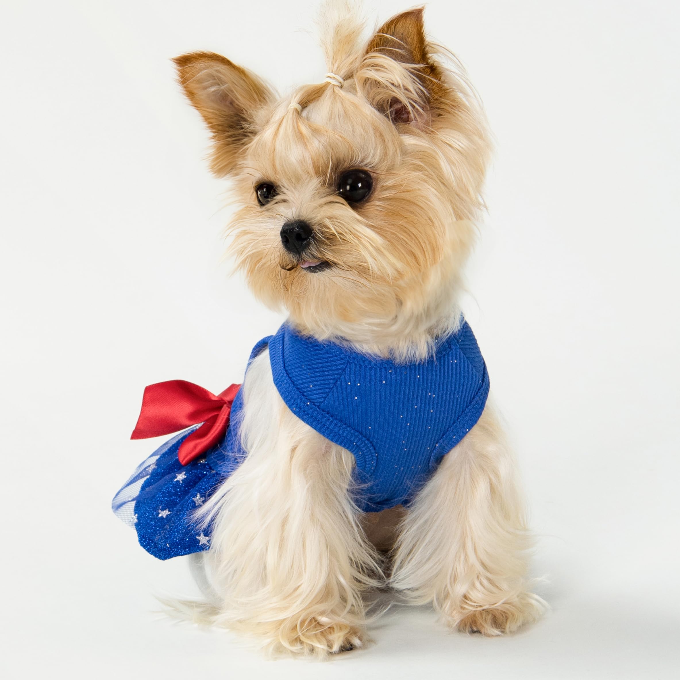 Fitwarm All American Girl Dog Dress, 4Th Of July Dog Clothes For Small Dogs Girl, Patriotic Dog Tulle Dress, Pet Outfit, Royal B
