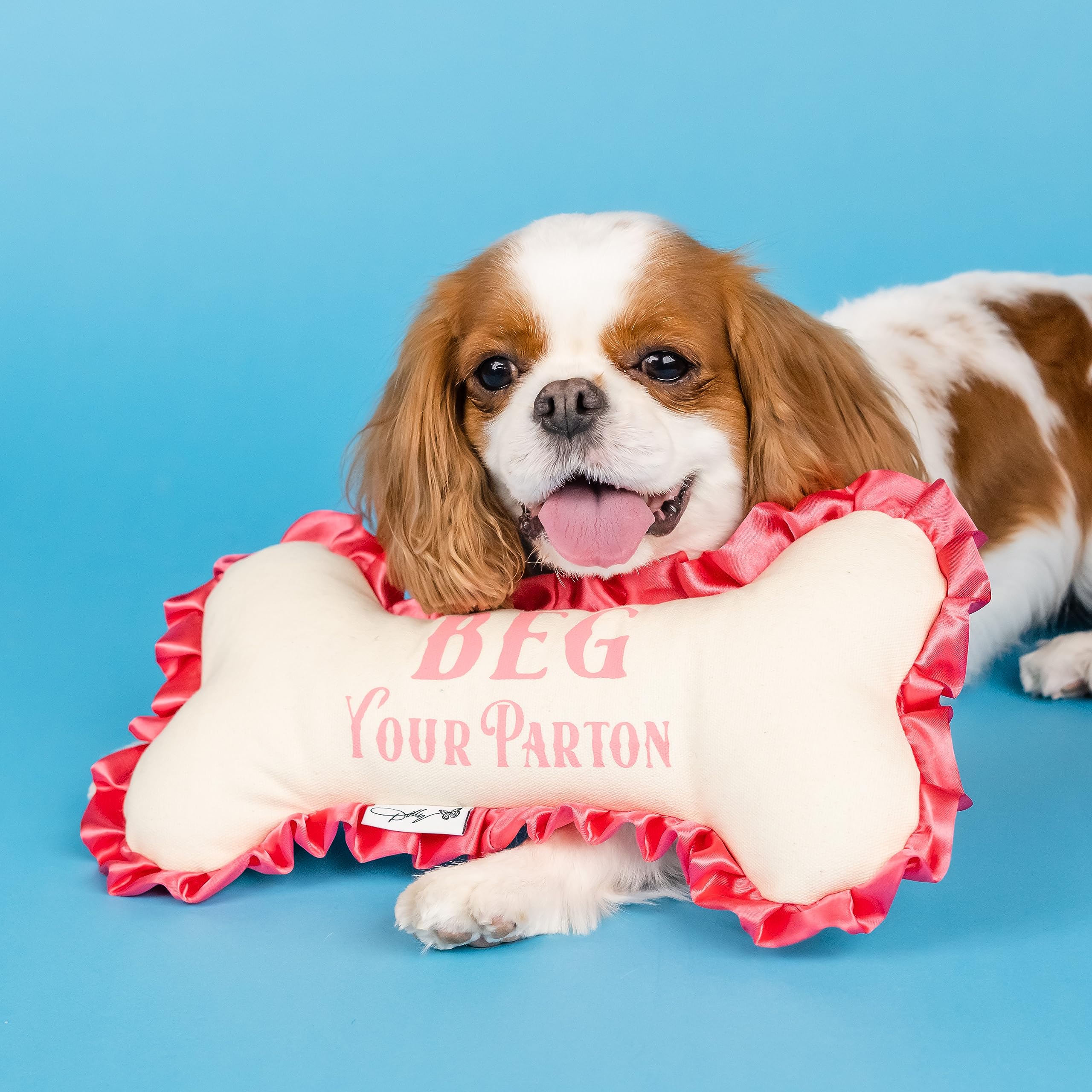 Doggy Parton Plush Dog Toys Collection - Beg Your Parton Bone