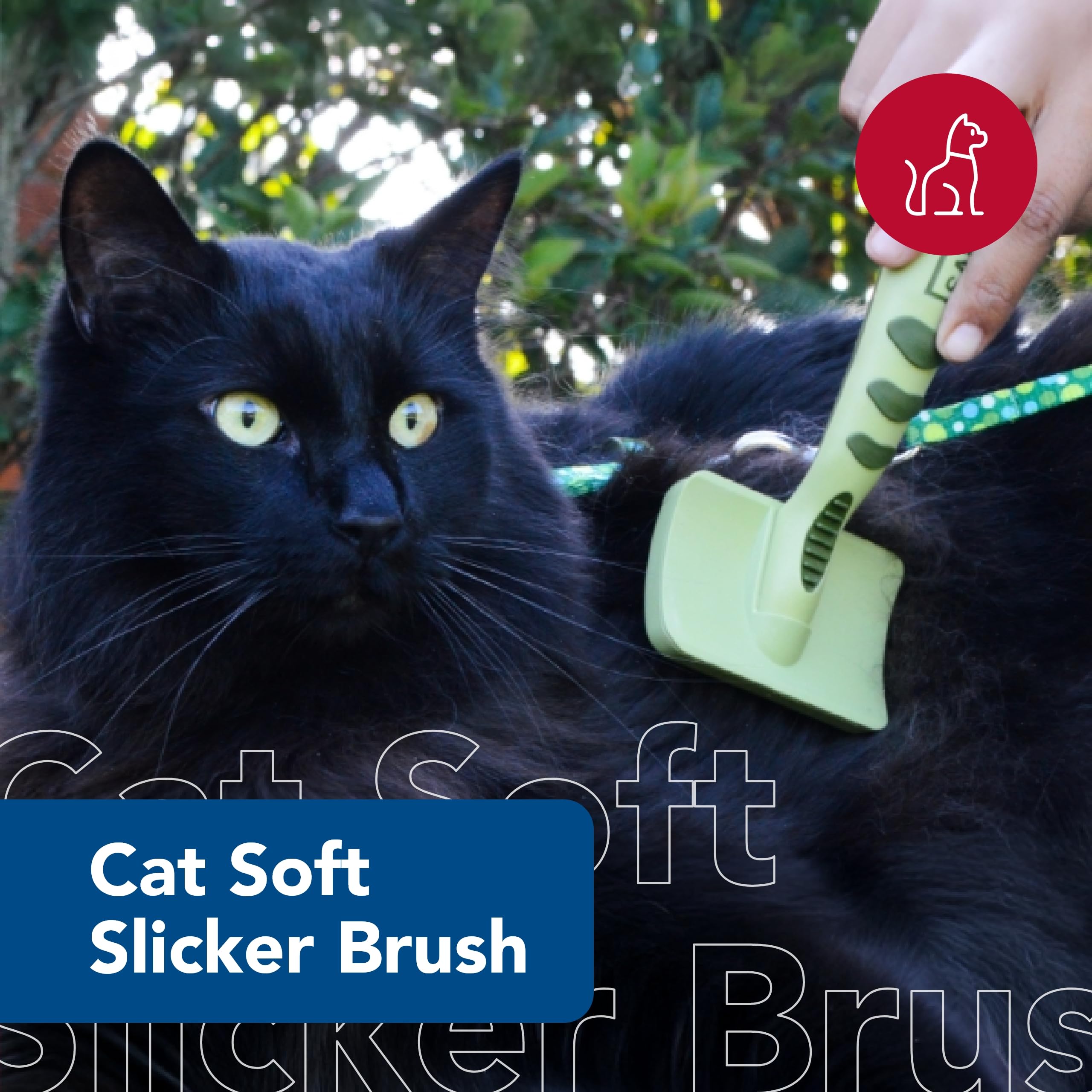 Coastal Pet Safari - Cat Soft Slicker Brush (6.5 X 3.5 Inches)