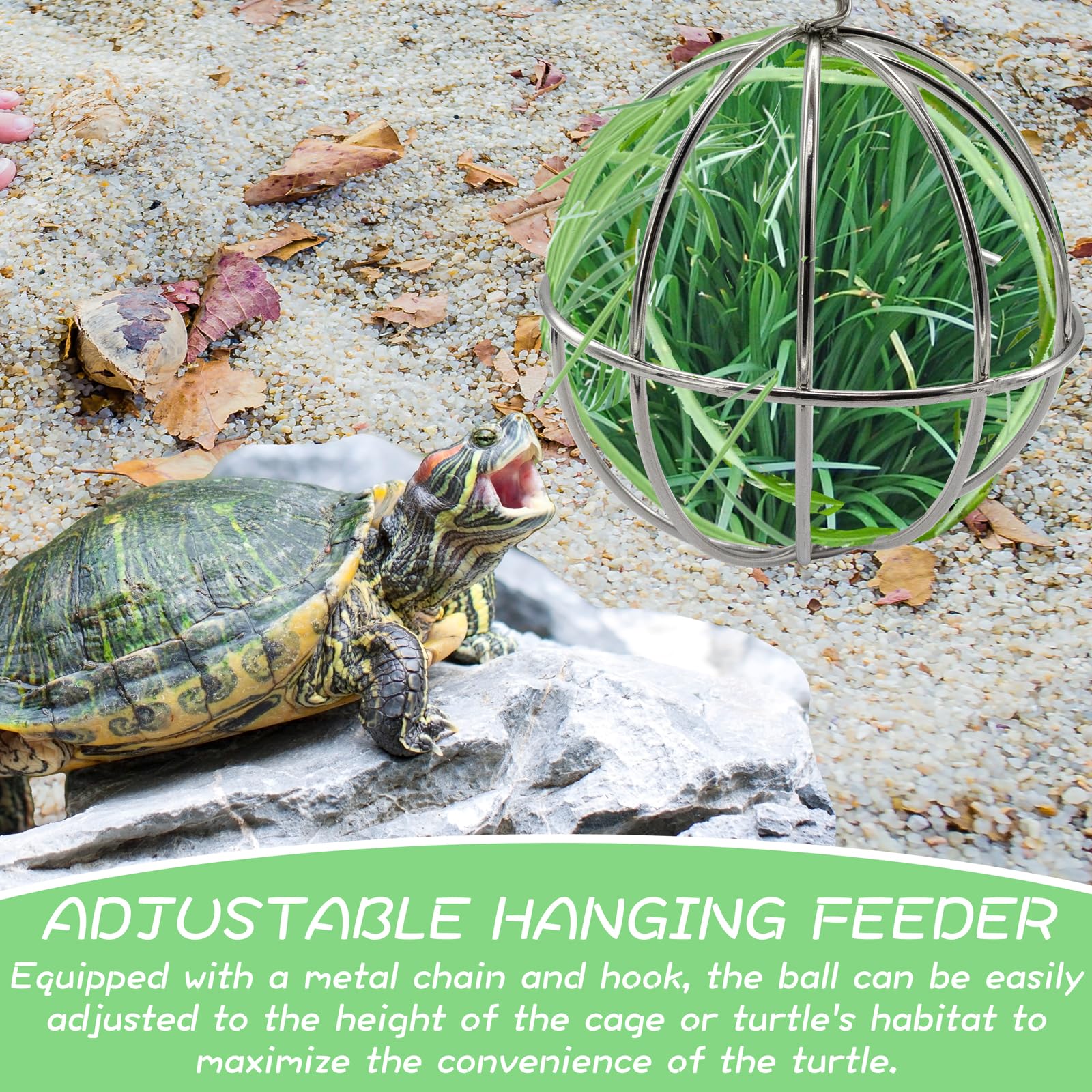 Niuohoy Tortoise Treat Ball And Mini Turtle Skateboard Set, Training Skateboard Toy & Tortoise Treat Ball Hanging Feeding Turtle