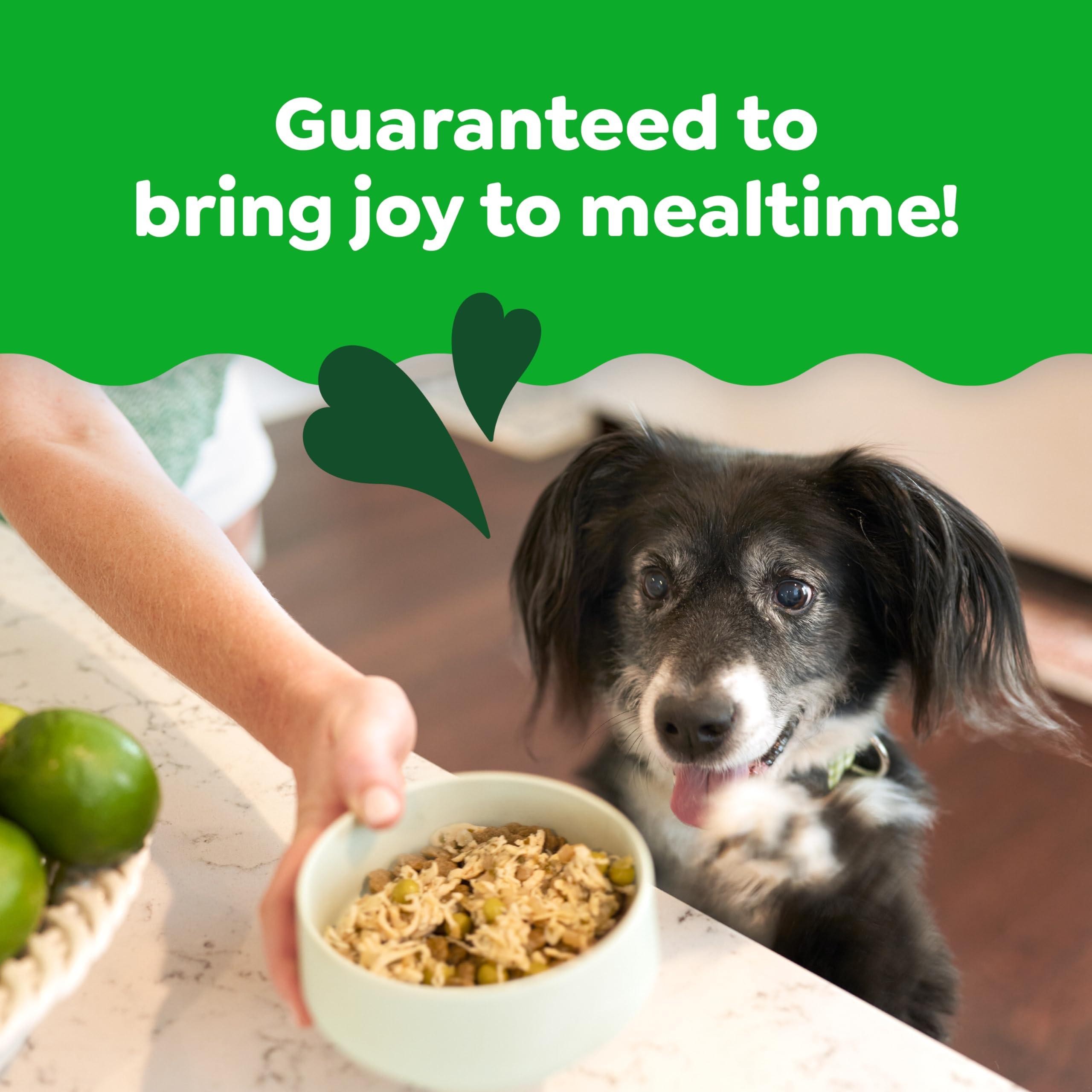 Greenies Smart Topper High Protein Wet Mix-in for Dogs, Chicken, Peas, Apples & Brown Rice Recipe in Vitabroth Broth - Bone Brot