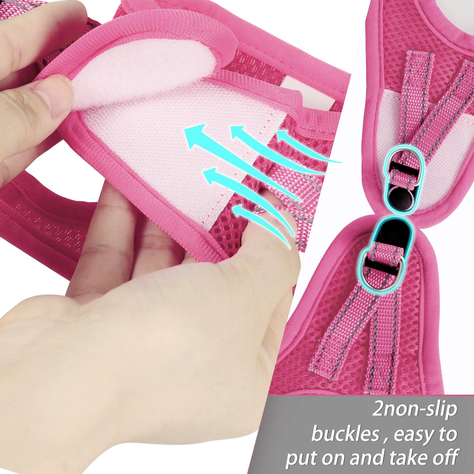 Dog Harness For Small Dogs Harness And Leash Set, Honeycomb Grid, Reflective Lightweight Harness & Anti-Twist Pet Lead (Multi Co