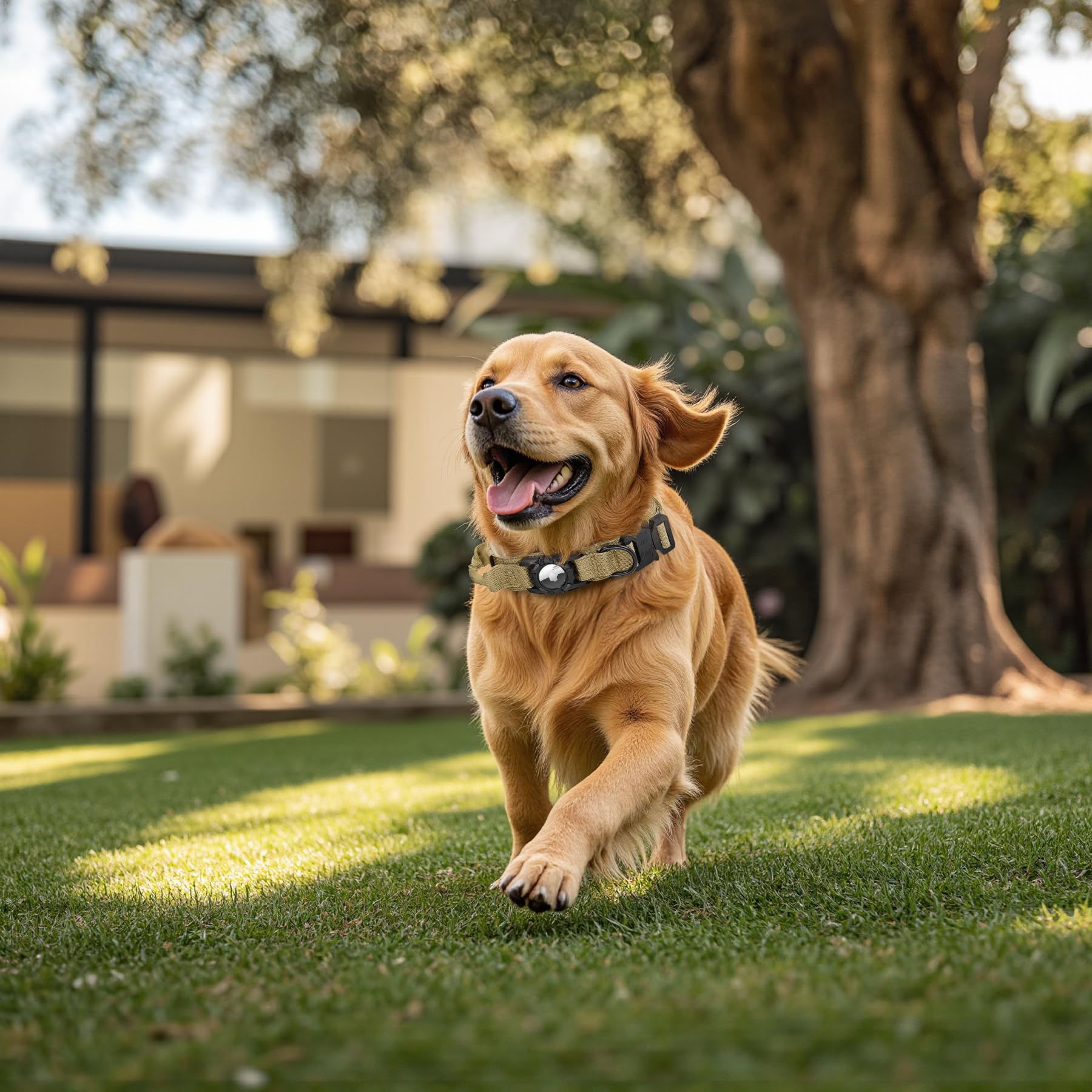 Tactical Airtag Dog Collar - Heavy Duty, Adjustable Gps Collar Compatible With Apple Airtag, With Holder & Control Handle For Me