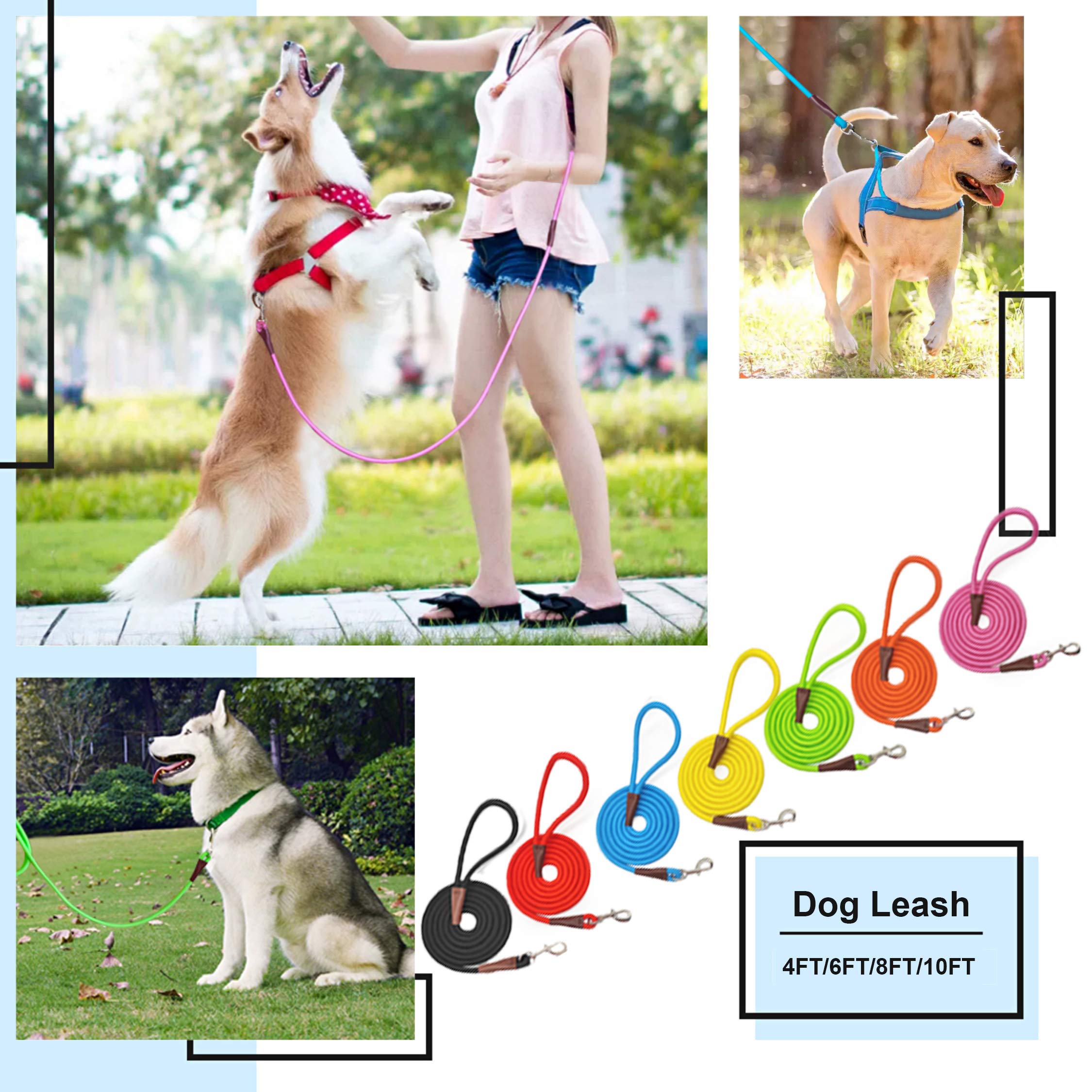 Maypaw 4Ft/6Ft/8Ft/10Ft Dog Leash, Classic Solid Colors, Durable Mountain Climbing Rope Dog Leash Reinforced With Leather Tailor Connection Heavy Duty Silver Clasp, Red Dog Leash
