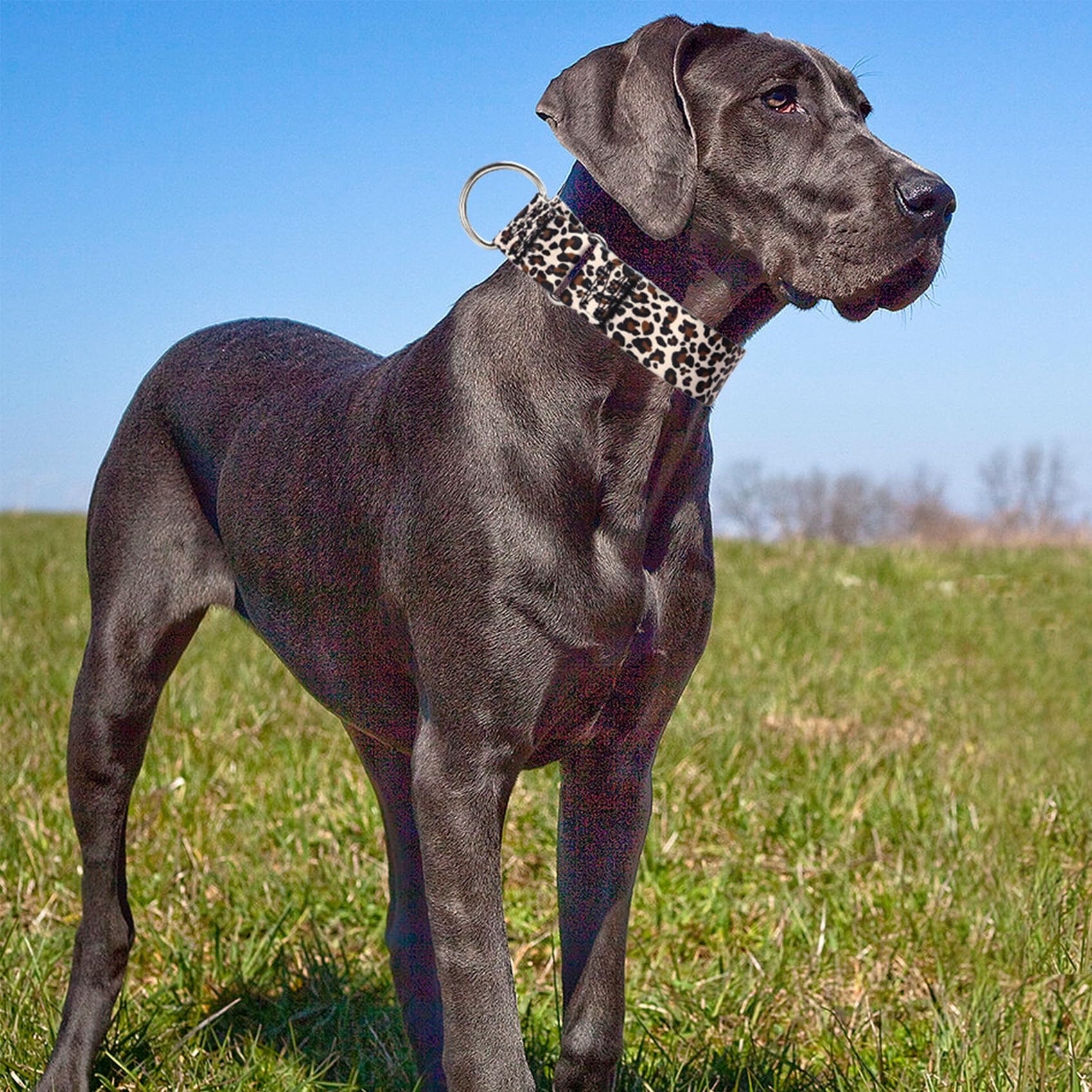 1.5 Inches Martingale Collar For Large Dogs,Wide Adjustable Heavy Duty Training Collars With Leopard Pattern,No Slip Dog Collar