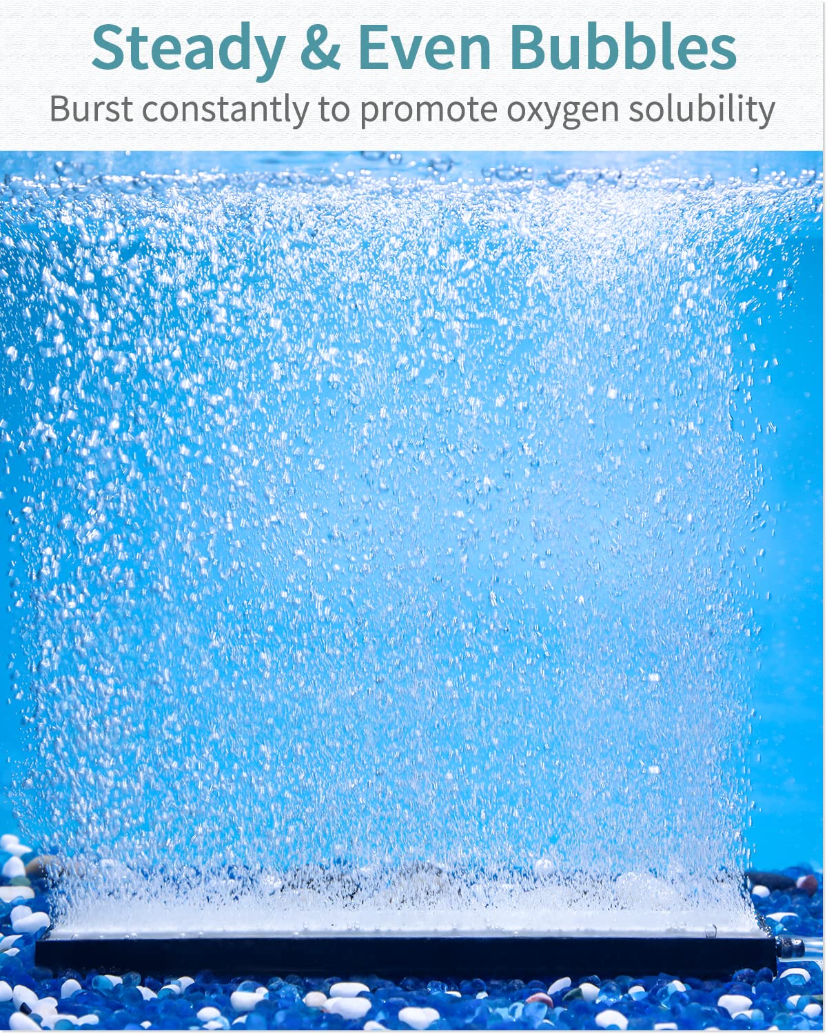 Pawfly 8 Inch Air Stone Bar Micro Bubble Diffuser Release Tool With Suction Cup Clip Accessory For Nano Air Pumps Dwc Buckets And Fish Tanks