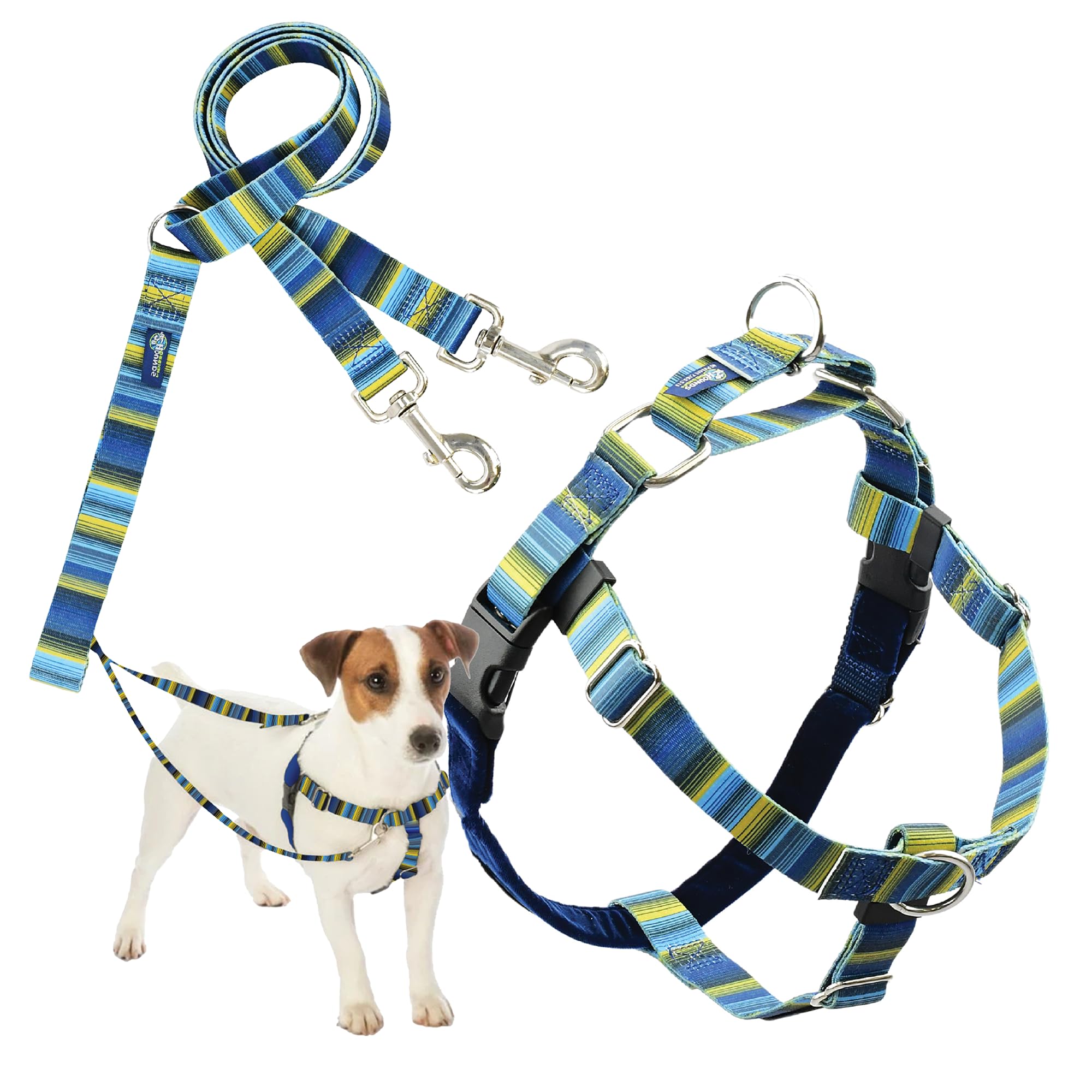 2 Hounds Design - Freedom No-Pull Harness & Training Leash In Blue And Green | Dual Leash Loops, No Pulling On Walks | Lined To 