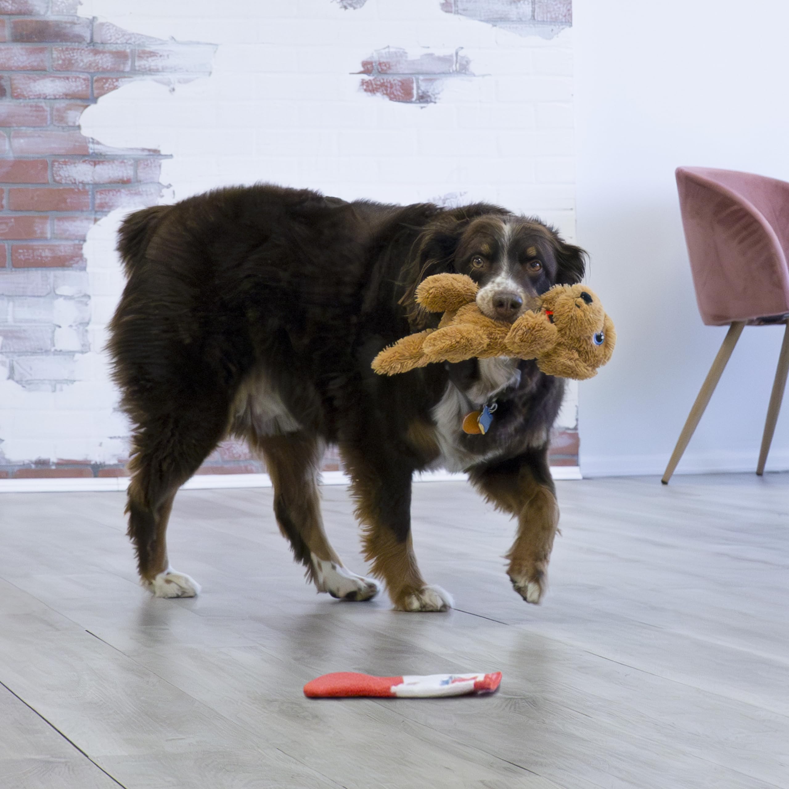 KONG Comfort Pups Low Stuffing Plush Fur and Crinkly Noise with Squeaker (Medium, Goldie)