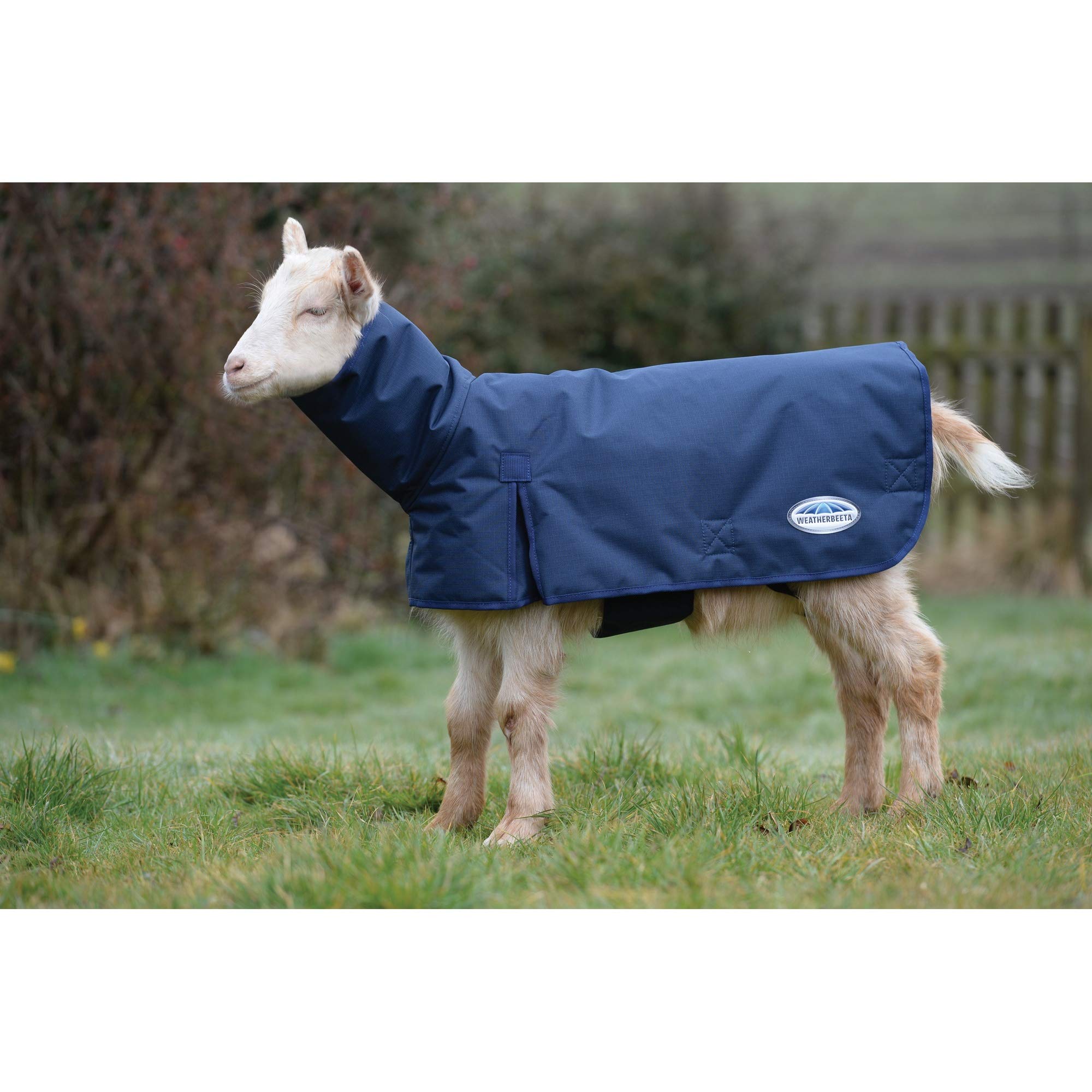 Weatherbeeta Goat Coat With Neck, Navy, Large