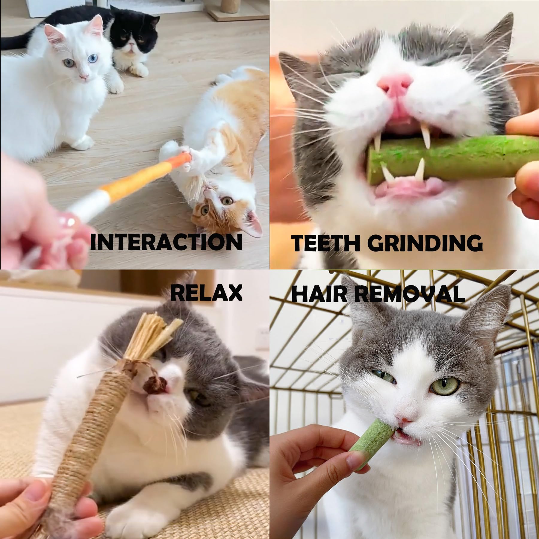 Grembeb Cat Toys 24Pack Cat Grass Treat Catnip Toy with Silvervine for Indoor Kitten Toys Wood Cat Chew Rope Kitten Grass Stick