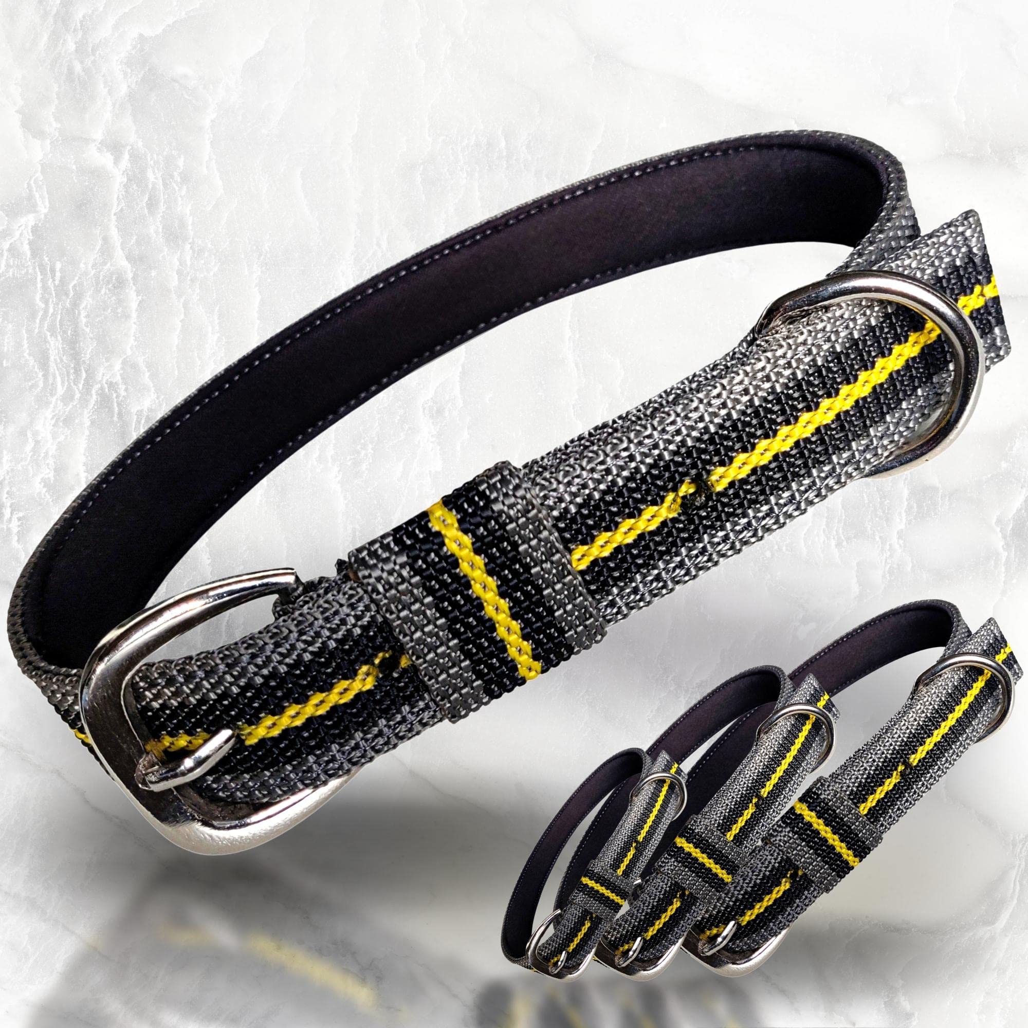 Pally Pets Products Padded Nylon Dog Collar With Metal Buckle, Classic Dog Belt (Small)