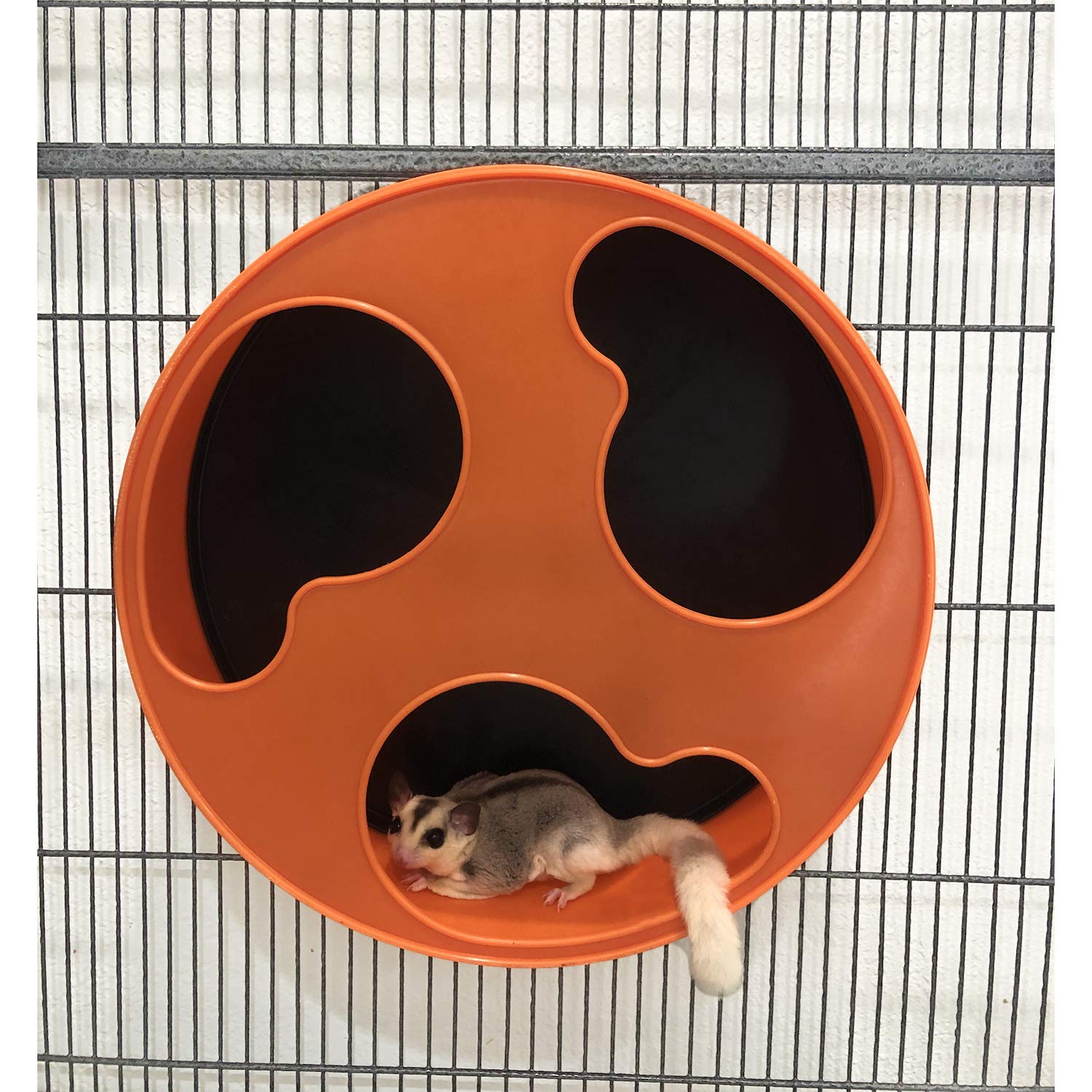 Silent Runner 12' With Autoclean | Sugar Glider Wheel