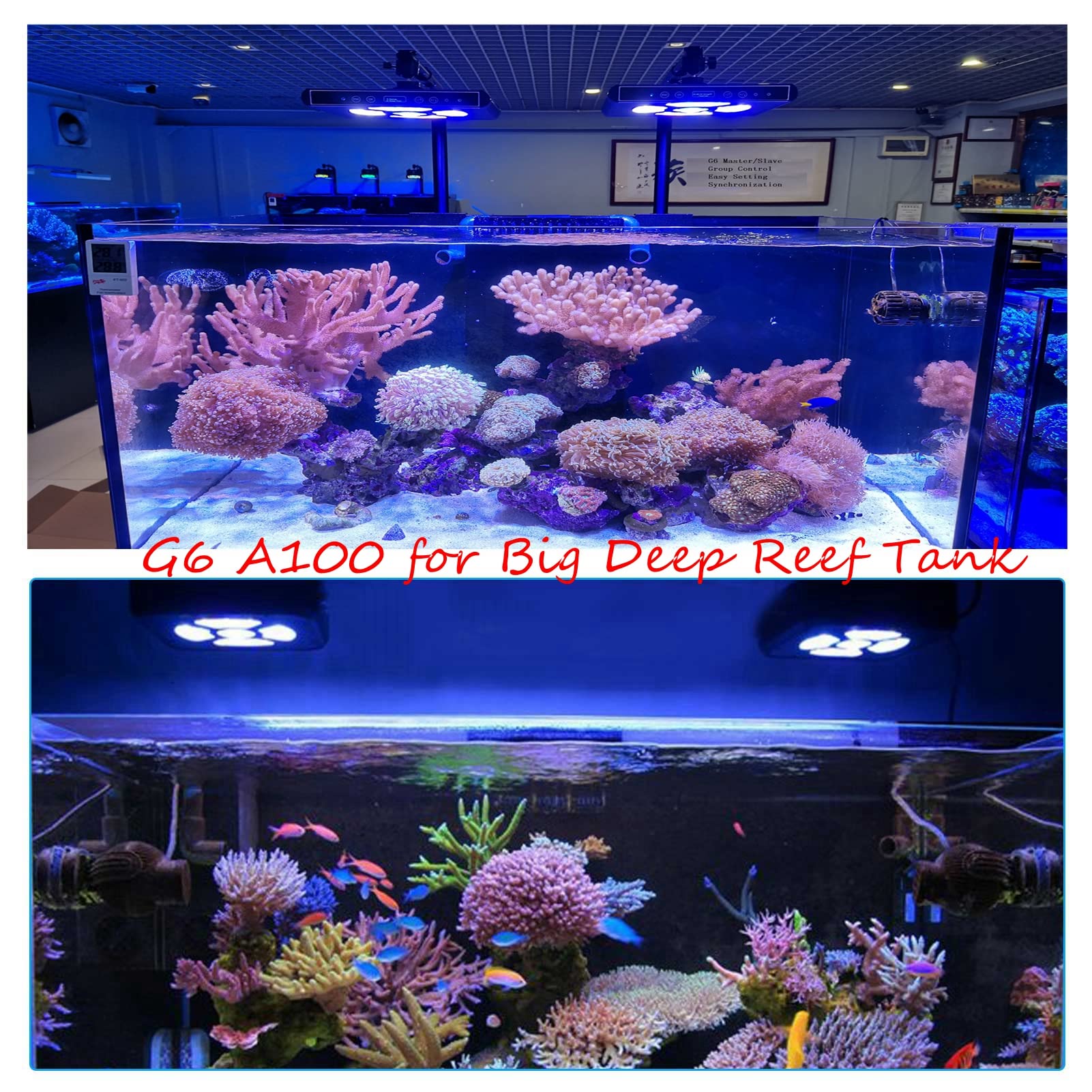 Hipargero Aquarium Lights-100 Watt 5 Channels Sunrise Sunset Moonlight Reef Lights For Coral Sps Lps Saltwater Tank(Black)