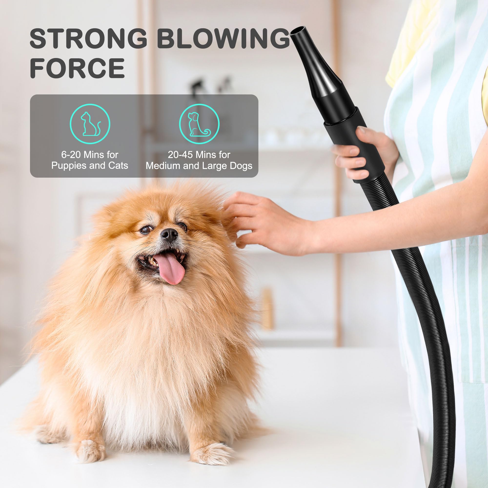 Nova Microdermabrasion Dog Dryer, High Velocity Pet Hair Force Dryer, Professional Pet Grooming Blower Dryer With 3 Nozzles Heater Air Speed For Grooming