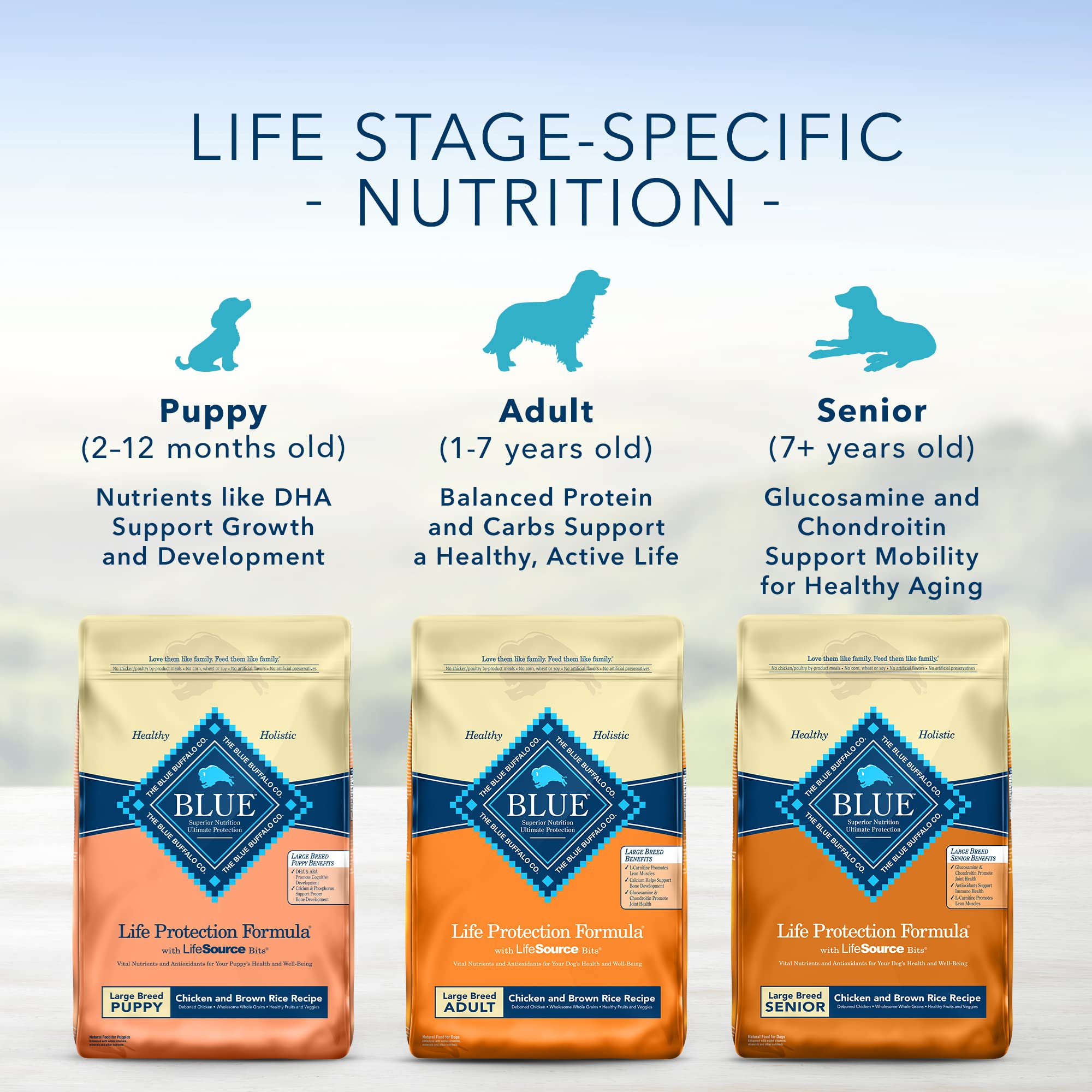 Blue Buffalo Life Protection Formula Large Breed Adult Dry Dog Food, Promotes Joint Health and Lean Muscles, Made with Natural I