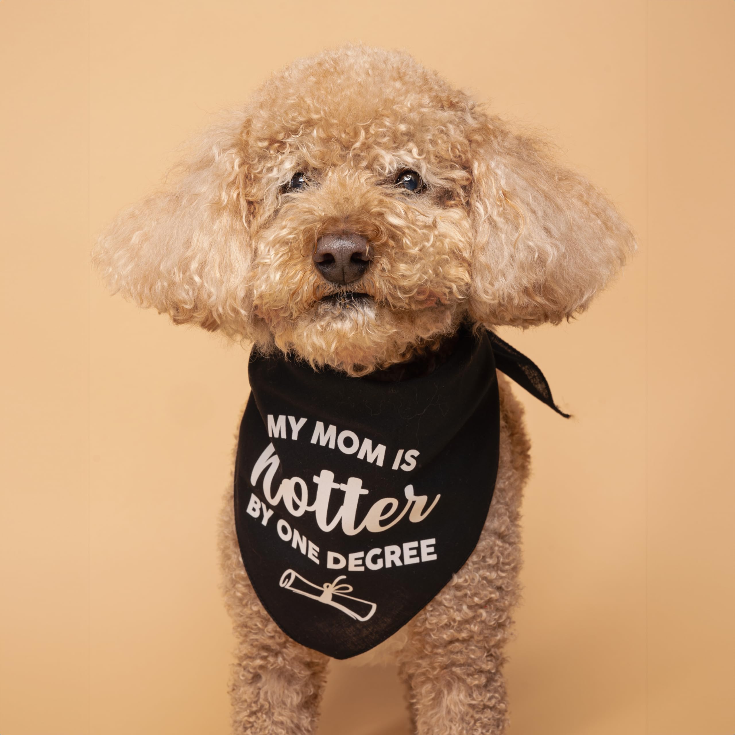 My Mom Is Hotter By One Degree Graduation Dog Bandana (667 Hot Pink, One Size)