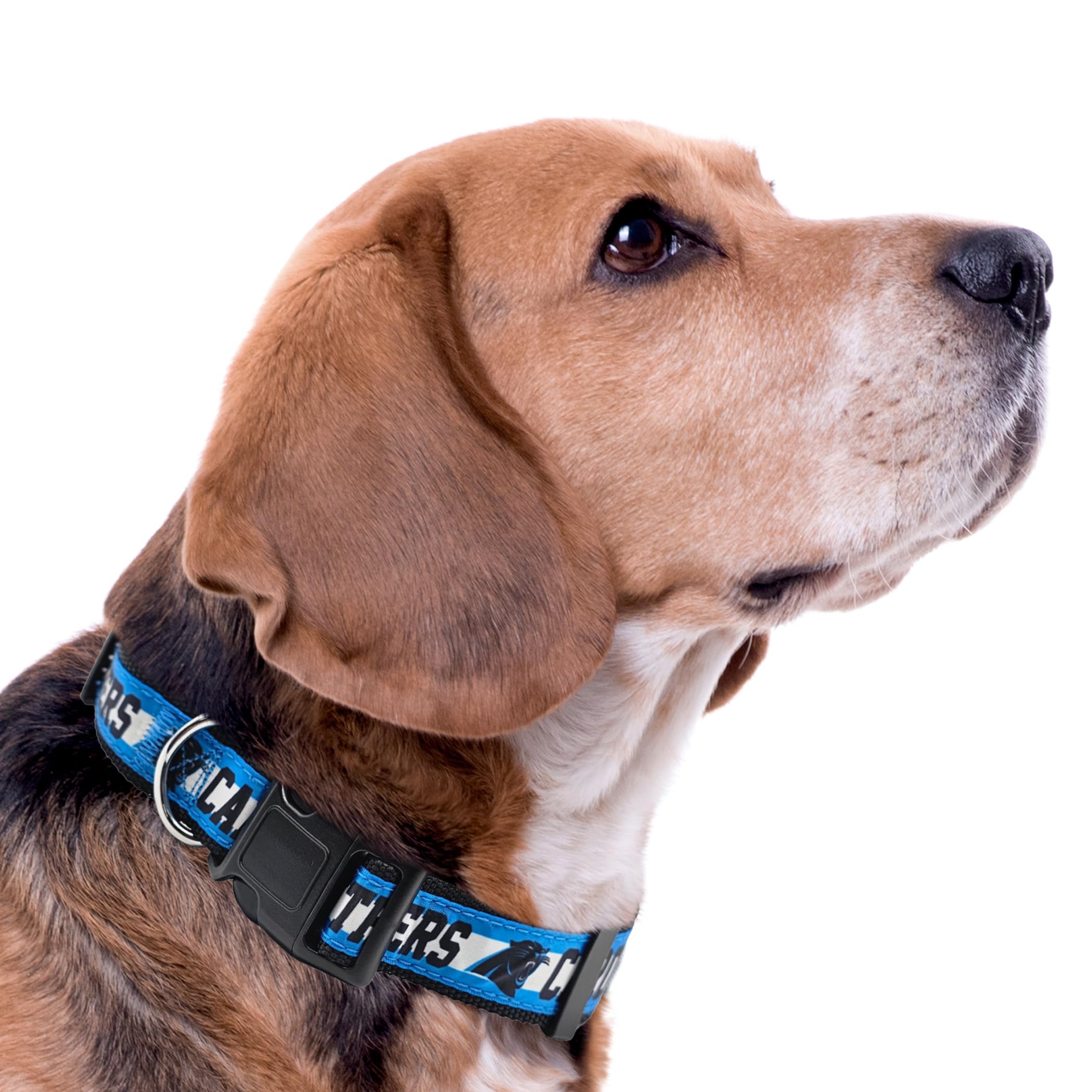 Pets First NFL Carolina Panthers Licensed PET COLLAR, Small - Heavy-Duty, Strong, and Durable Dog Collar. Available in 31 Footba