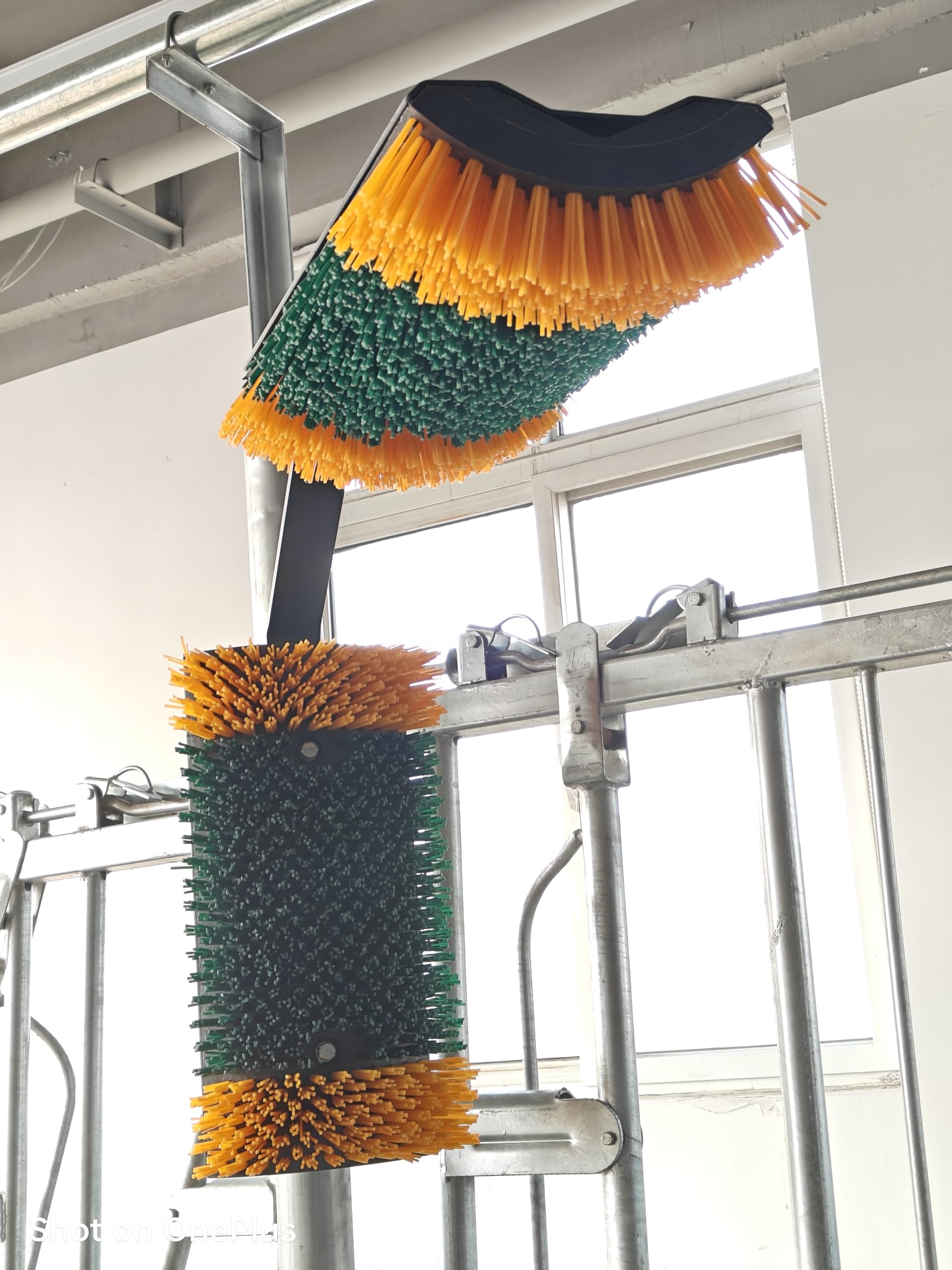 2-Way Livestock Scratching Brush, Heavy Duty Dual-Sided Cow & Horse Grooming Brush, Coat Care & Stress Reduction Scratcher for H