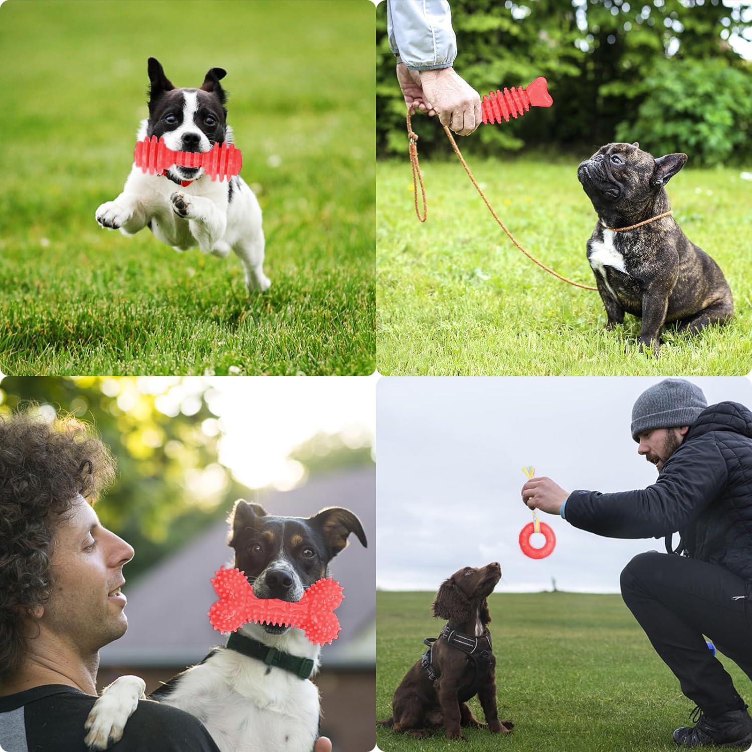 Cgbd Puppy Toys, 6 Pack Dog Chew Toys For Puppy, Cute Red Small Dog Toys, Teething Toys For Puppies, Soft Durable Interactive Chew Toy For Small Dogs