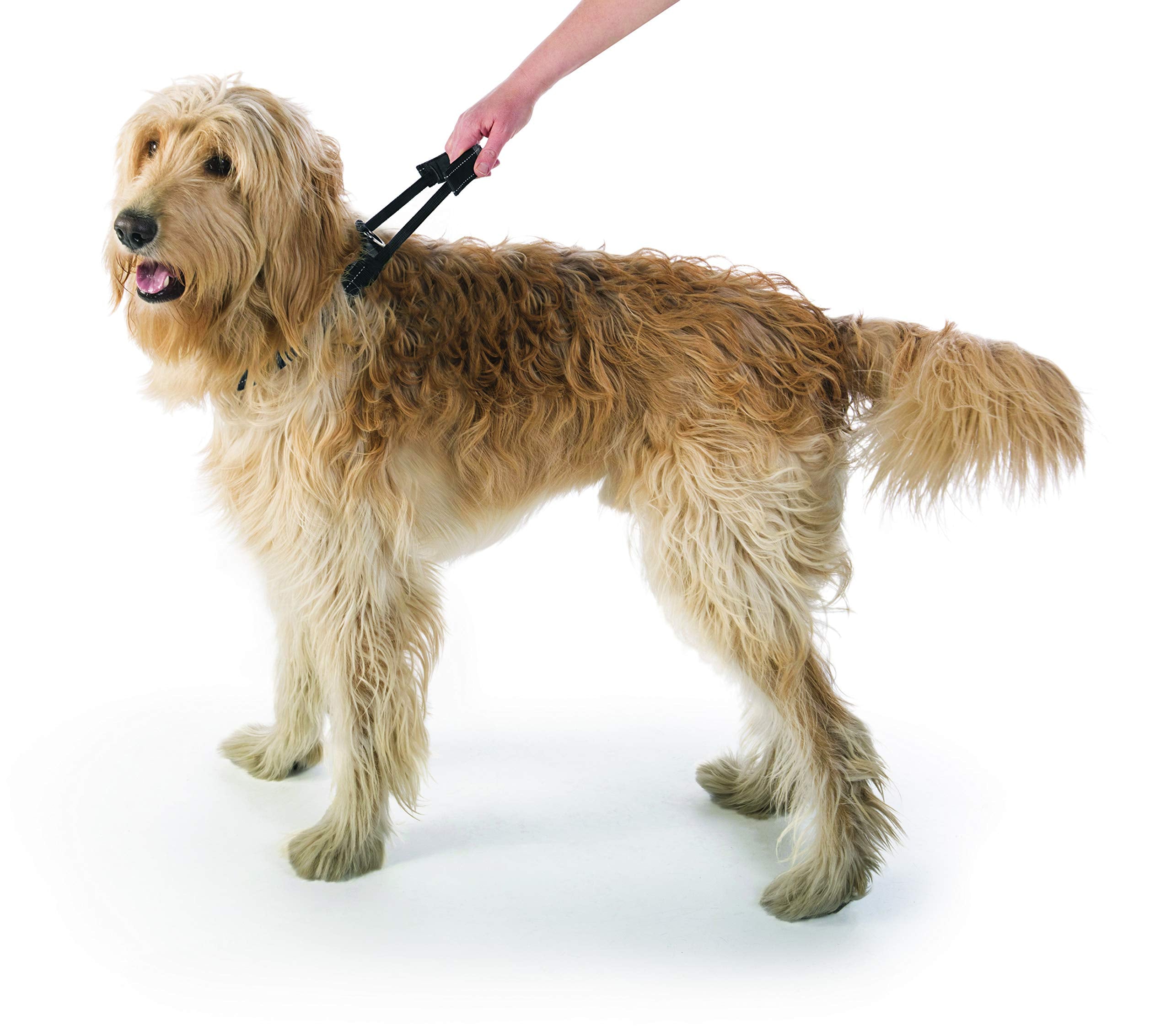 Sherpa Dog Collar, Built-In Quick Grab Handle, Padded - Black, Extra Large