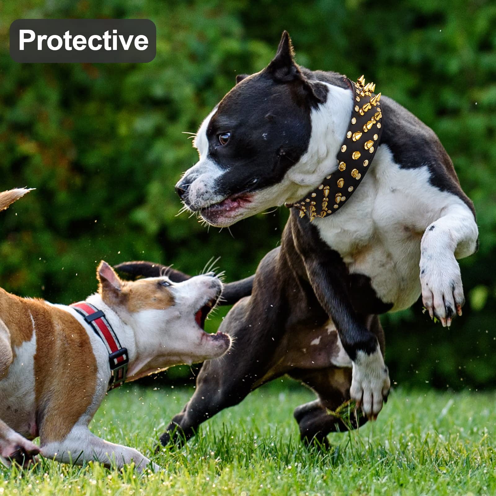 Wide Gold Spiked Dog Collar, Epesiri Dog Chain Collars, Mushroom Rivet PU Leather Dog Collars, Adjustable Durable Spike Studded