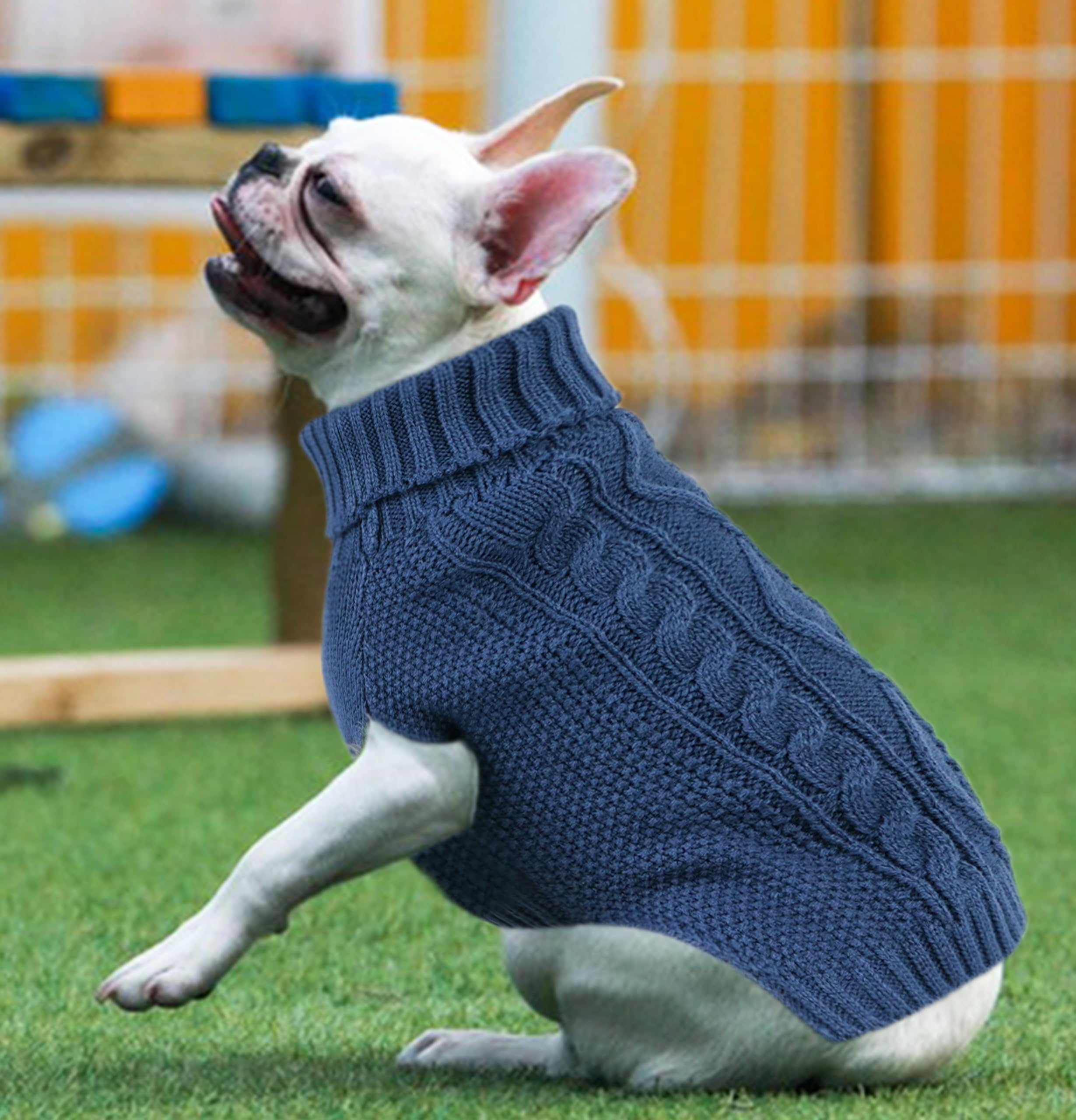 Dog Sweaters for Small Dogs Dog Dachshund Sweater Dog Clothes Winter Boy Knitted Small Dog Sweater Warm Puppy Sweater Turtleneck