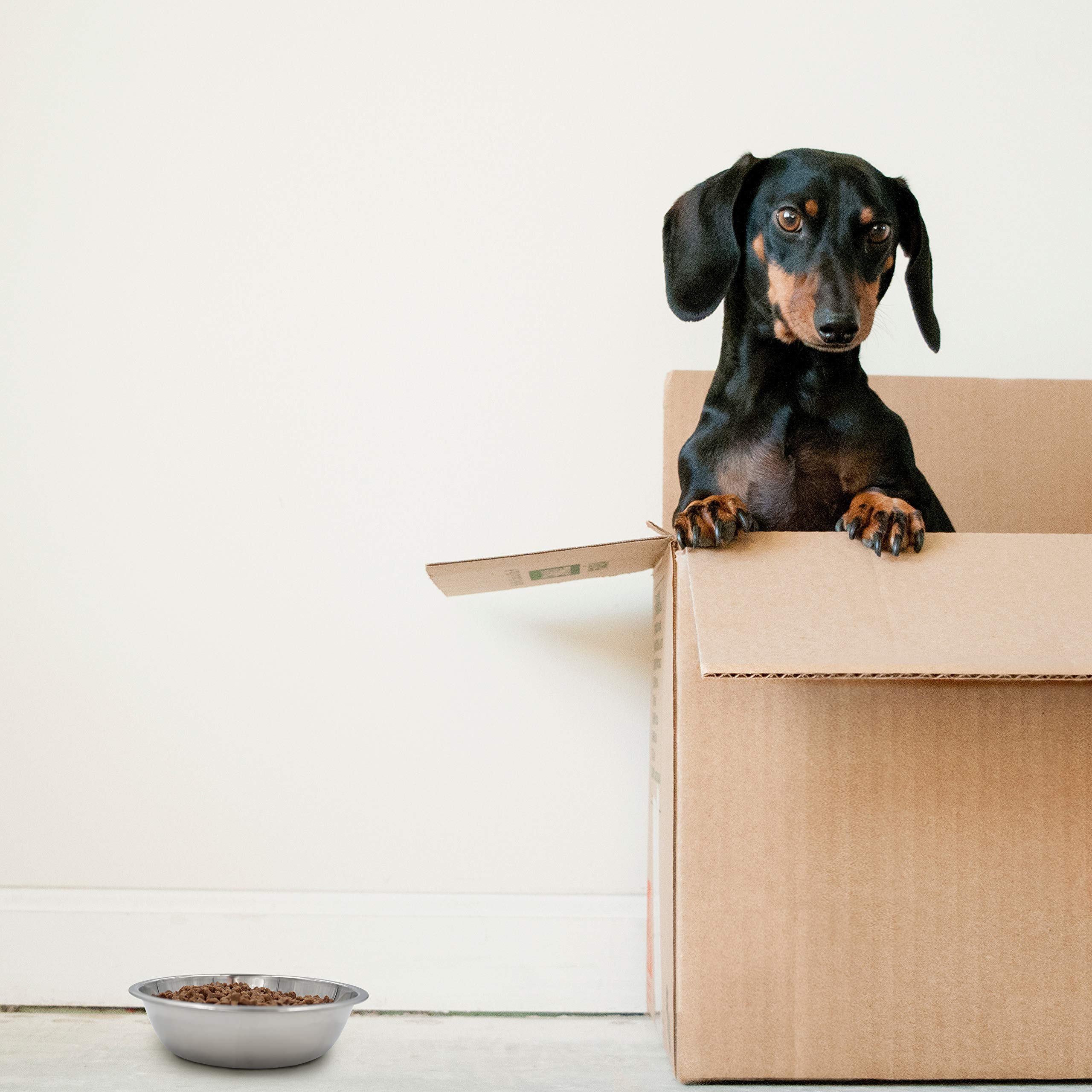 Dog Bowls Cat Bowls (Stainless Steel Bowls, 4-Pack)