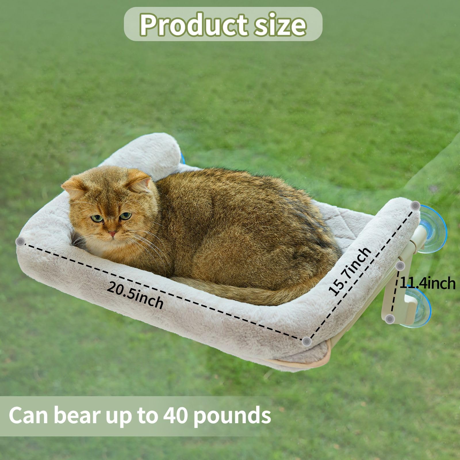 Petsome Cat Window Perch, Adjustable Cat Hammock For Large Cats, Mounts On Window Sills, Bedside, Or Glass, Easy Installation An