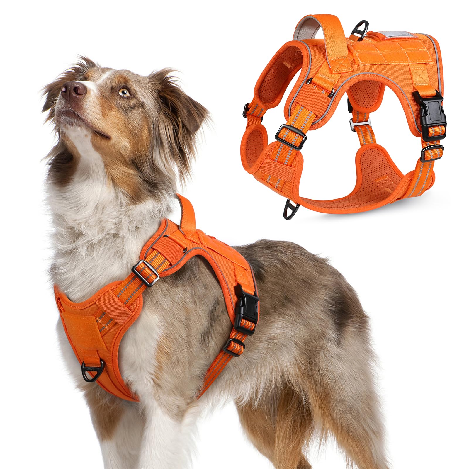 Rabbitgoo Dog Harness No Pull, Military Dog Harness Medium Sized Dog With Handle & Molle, Easy Control Service Dog Vest Harness Training Walking, Adjustable Reflective Tactical Pet Harness, Orange, M