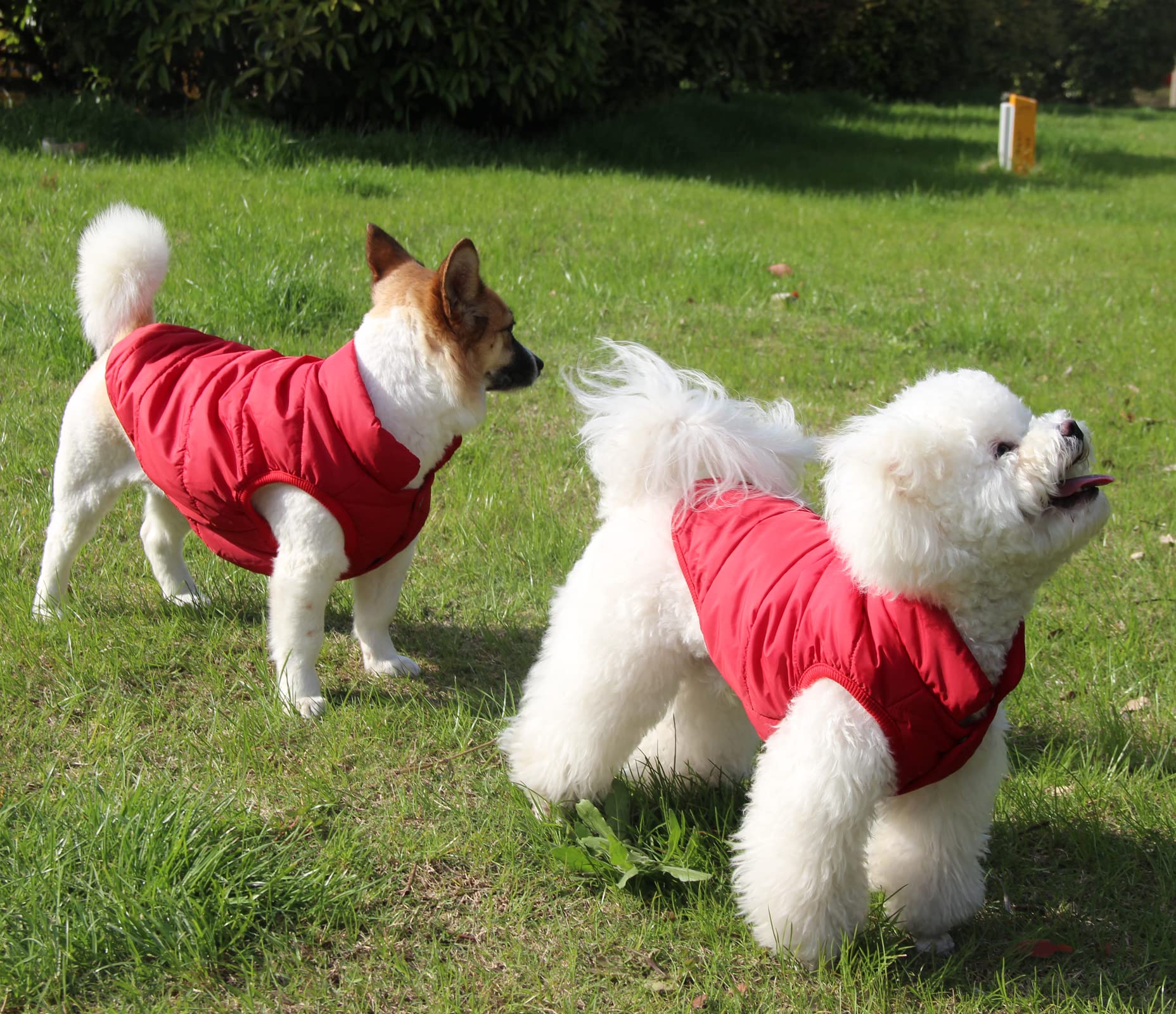 Joydaog 2 Layers Fleece Lined Warm Dog Jacket For Puppy Winter Cold Weather,Soft Windproof Small Dog Coat,Red M