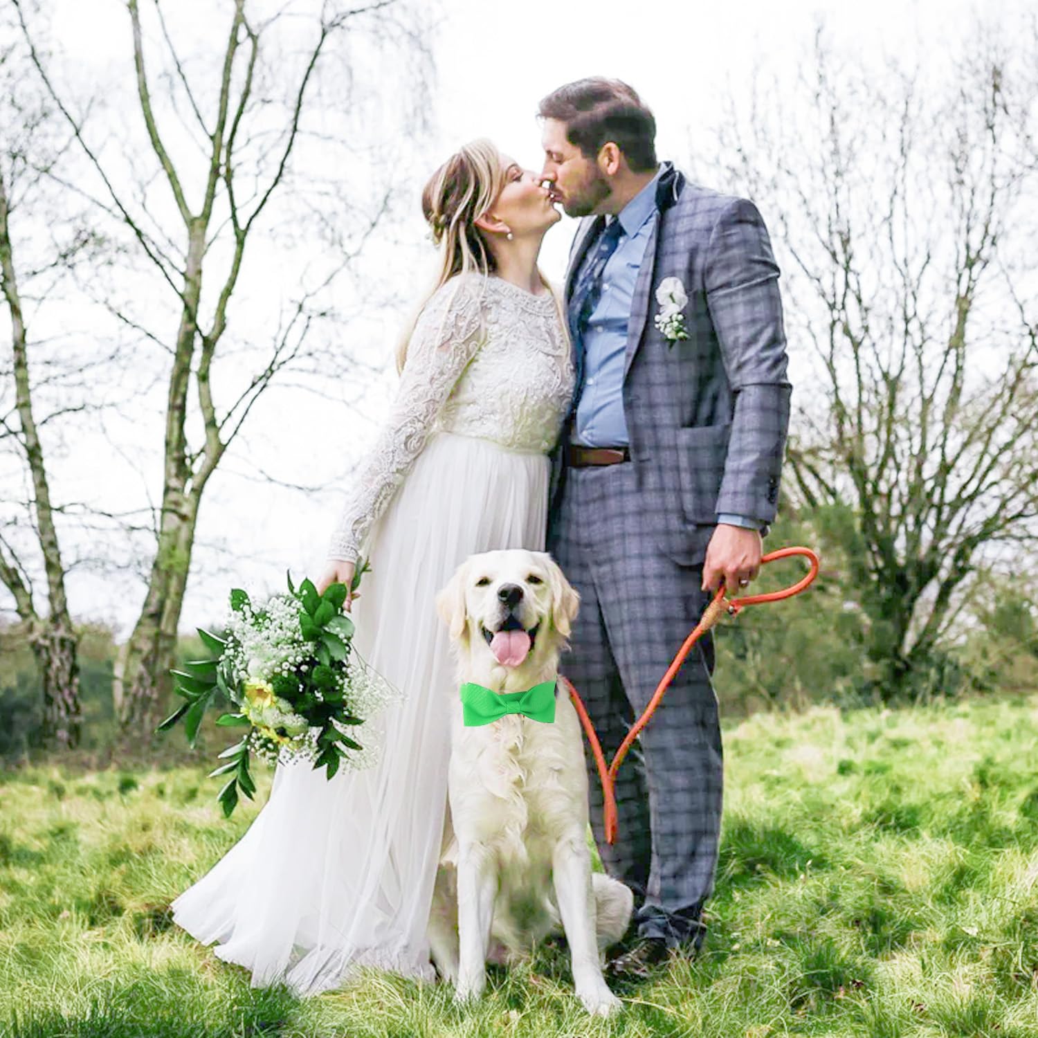 Segarty Bow Tie Dog Collar, Adjustable Green Bowtie Collar For Large Dogs, Durable Dog Neck Tie Tuxedo Comfortable Cotton Pets B