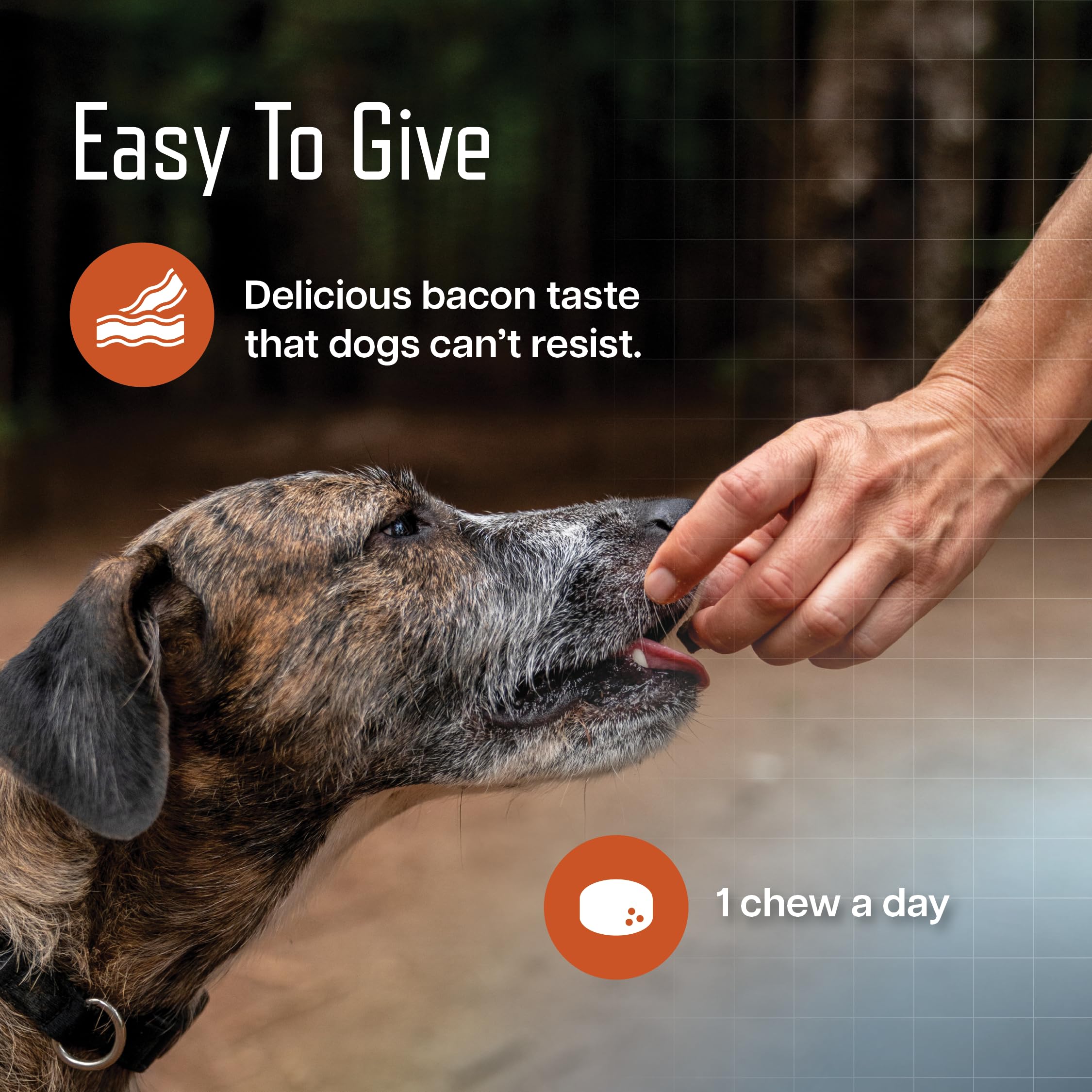 Virbac URSOLYX Soft Chews for Dogs | Muscle Health Support for Senior, Active or Recovering Dogs, Small | 60 Count 2- Month Supp