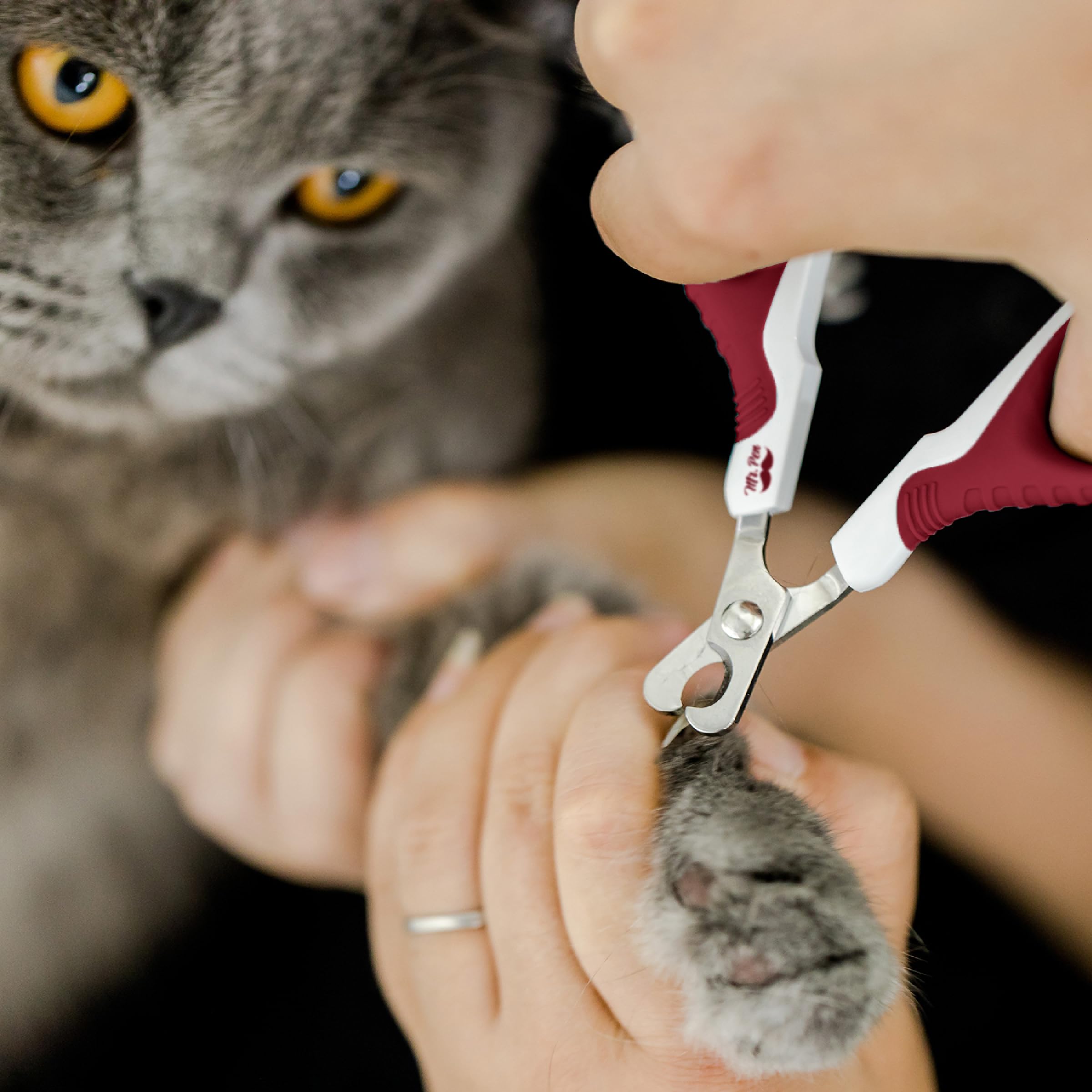 Mr. Pen- Cat Nail Clipper, Wine & White Cat Nail Trimmer, Cat Nail Clippers, Cat Claw Clippers, Cat Clippers For Nails, Pet Nail Clippers, Kitten Nail Clipper, Small Dog Nail Clipper Cat Claw Trimmer
