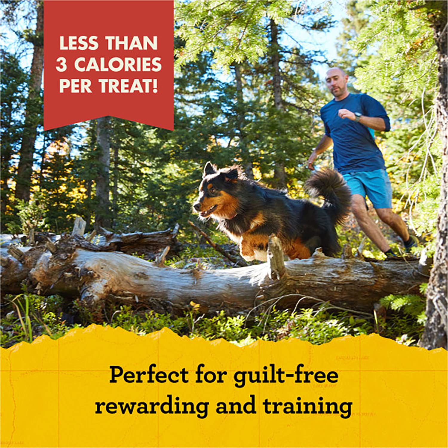 Zukes Mini Naturals Adult Dog Training Treats, Peanut Butter & Oats Recipe with Vitamins & Minerals, A+ Training Treats for Adu