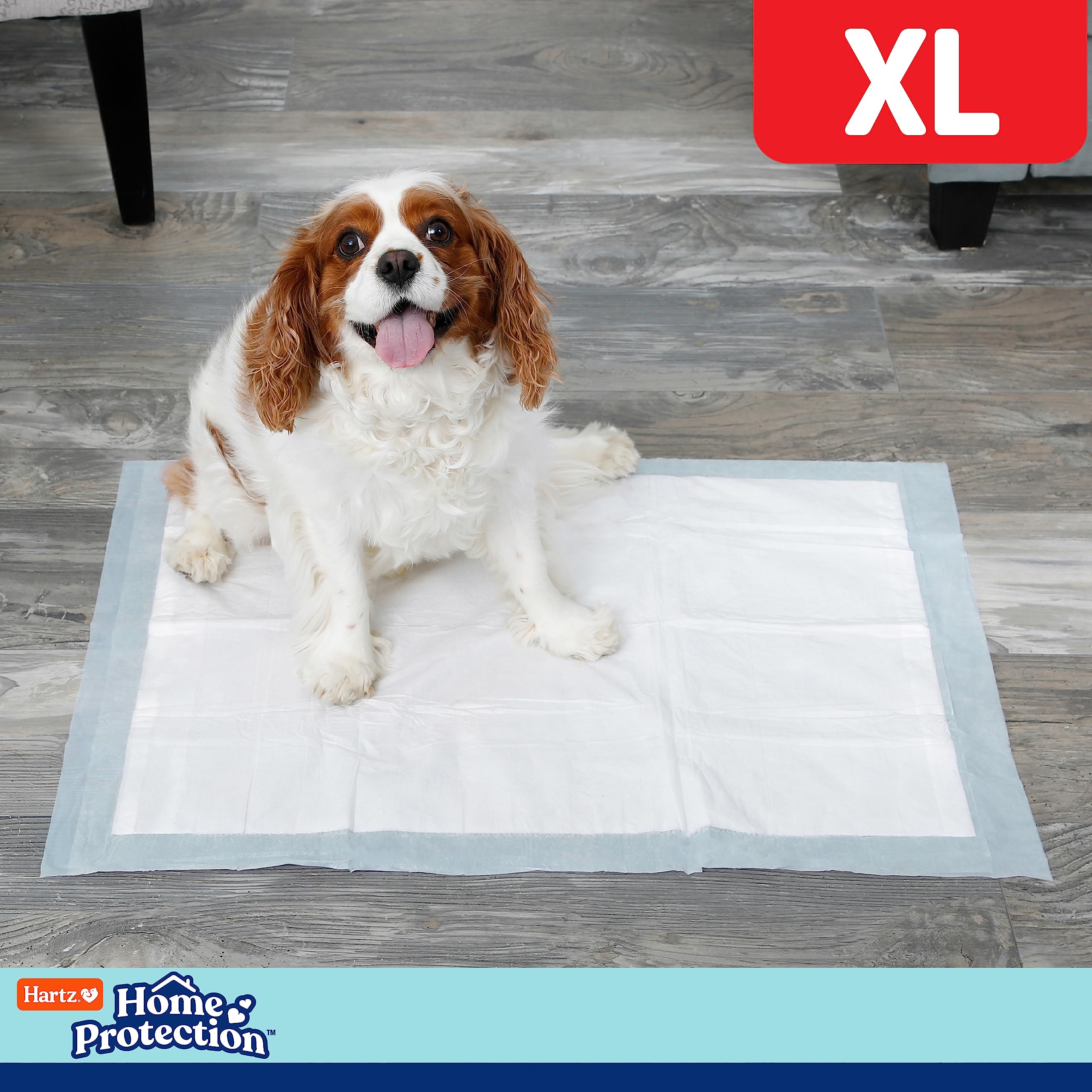 Hartz Home Protection Mountain Fresh Scented Dog Pads, Xl 30 Count, Super Absorbent & Won'T Leak, Odor Eliminating