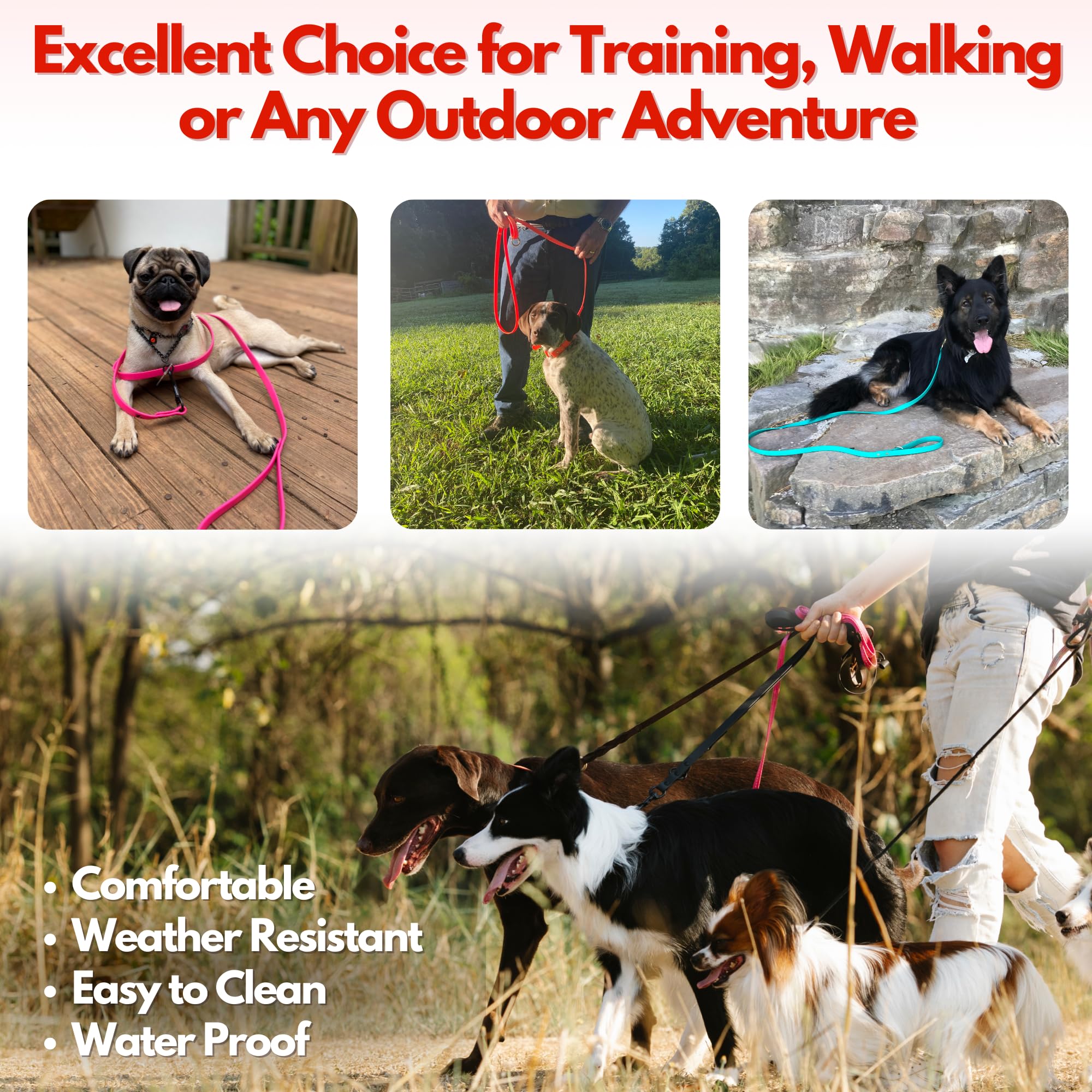 Jim Hodges Dog Training Gummy Dog Leash, Biothane, Dog Training Leash, Made In The Usa, 4 Feet, Various Sizes & Colors (3/4, Light Blue)