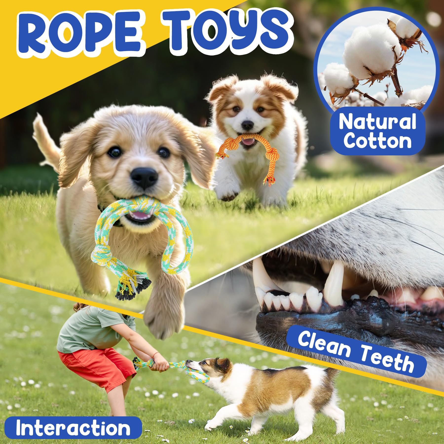 Patsfran Puppy Toys For Teething, 9 Pack Interactive Dog Toys For Small Dogs, Puppy Chew Toys For Boredom With Rope Toys, Treat