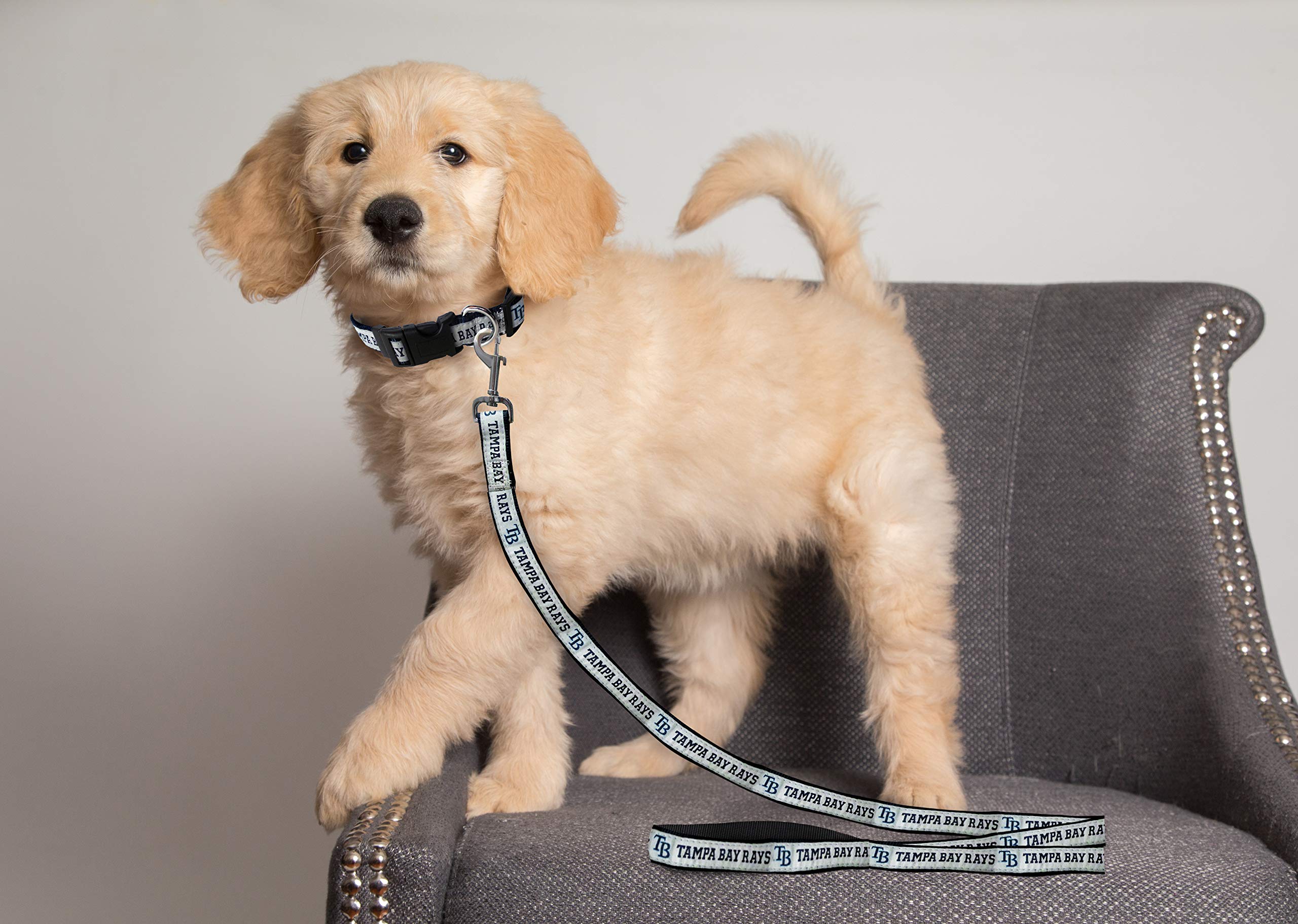 Mlb Tampa Bay Rays Dog Leash, Large