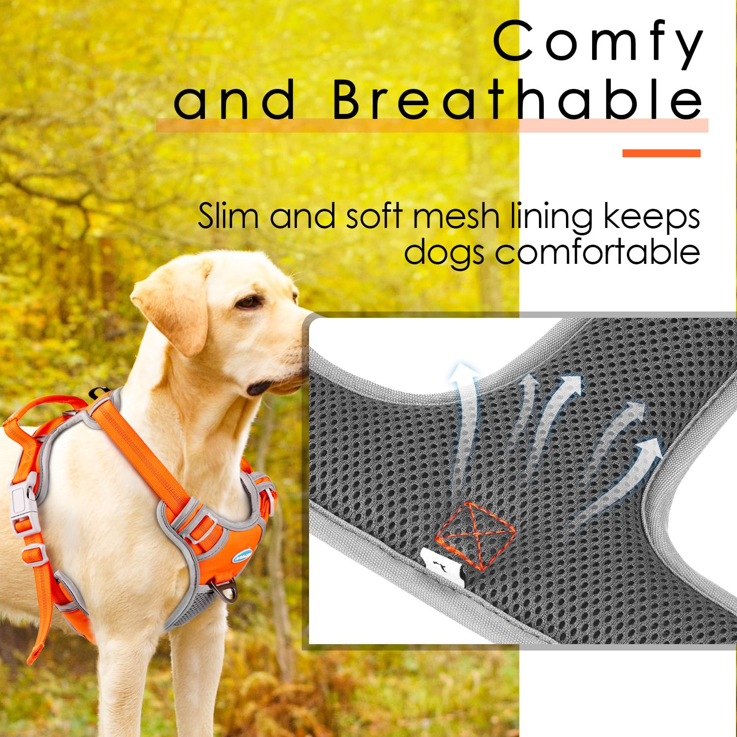 Thinkpet No Pull Harness Breathable Sport Harness With Handle - Reflective Padded Dog Safety Vest With Reflective Neon Dog Leash S Harness Leash Pack Orange