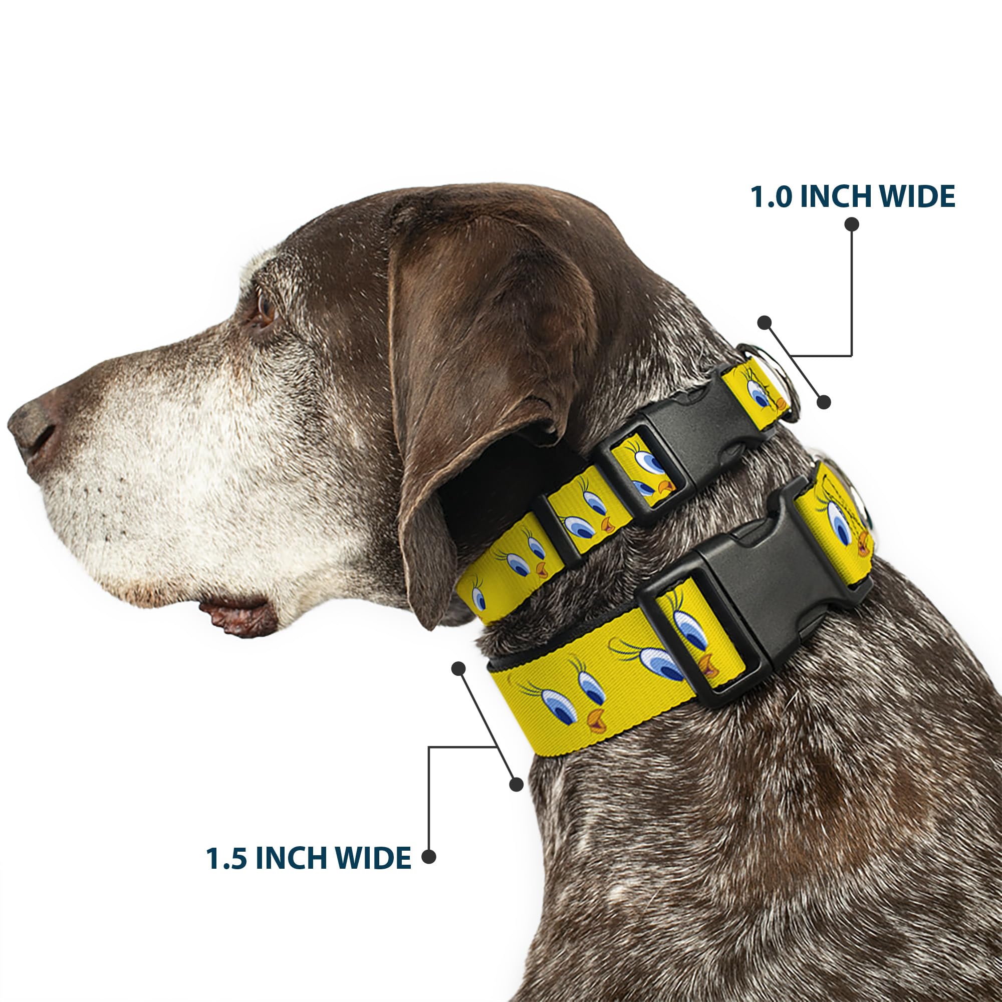Buckle-Down Plastic Clip Collar - Tweety Bird Expressions2 - 1.5' Wide - Fits 13-18' Neck - Small