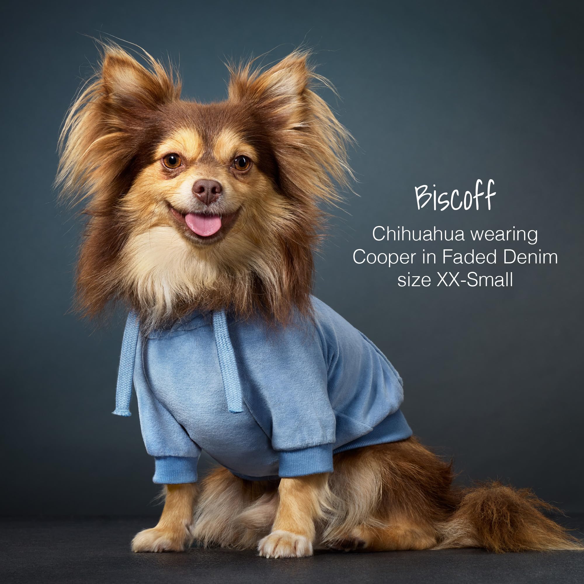 Pet Passion Organic Cotton Velour Dog Hoodie Pet Coat For Small, Medium And Large Dogs, Faded Denim, X-Small