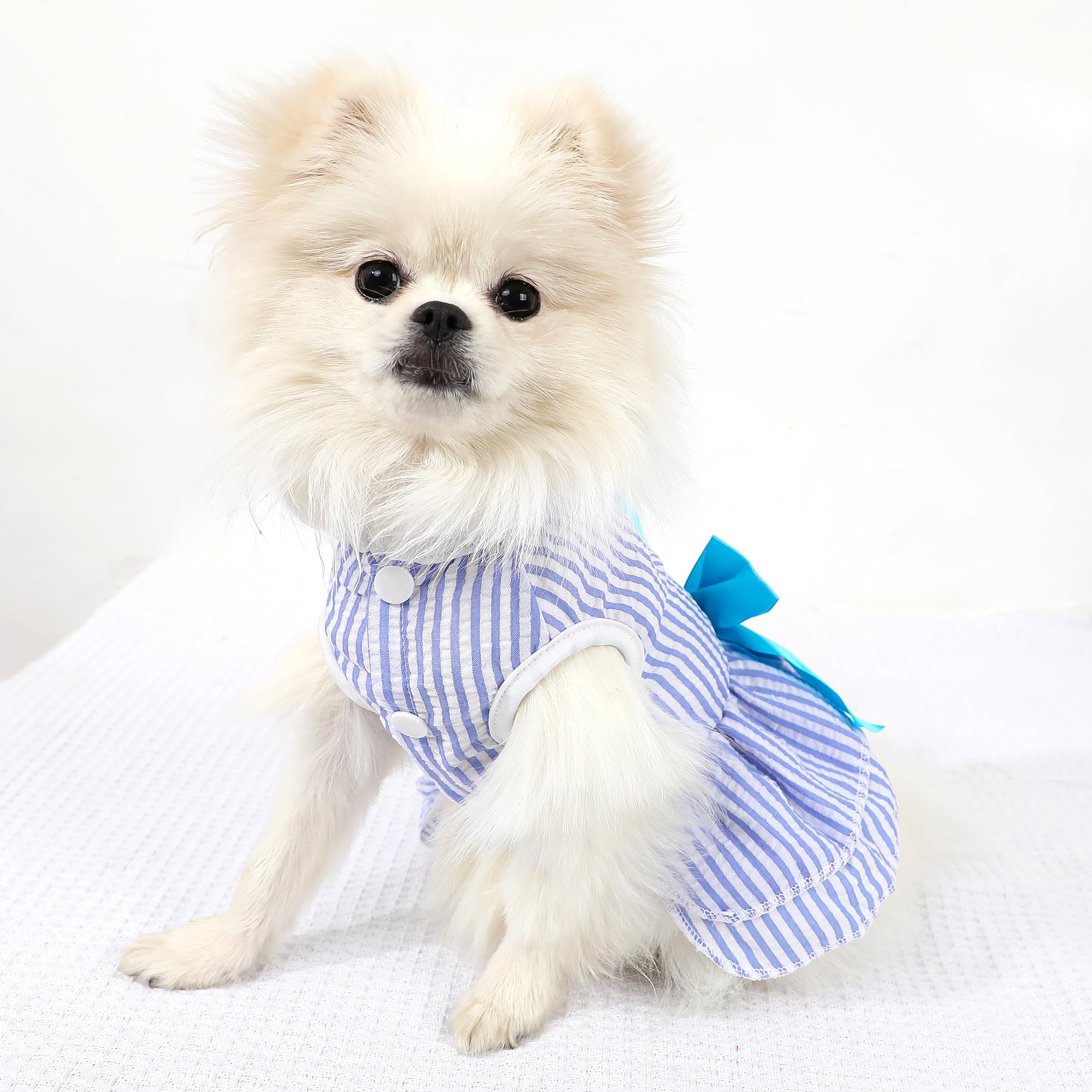 Dog Dress, Cute Pet Princess Dresses With Bright Color Design, Sweet Bowknot, Dog Clothes For Small Dogs Girl, Breathable & Ligh