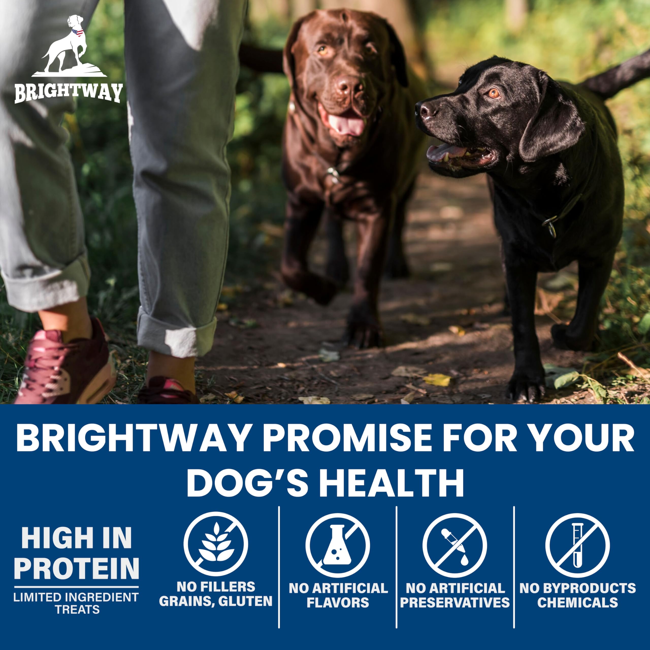 Brightway Pets Primal Protein Bites - Freeze Dried Raw Chicken Dog Treats | High Protein, Cage-Free Chicken & Liver | Made in US