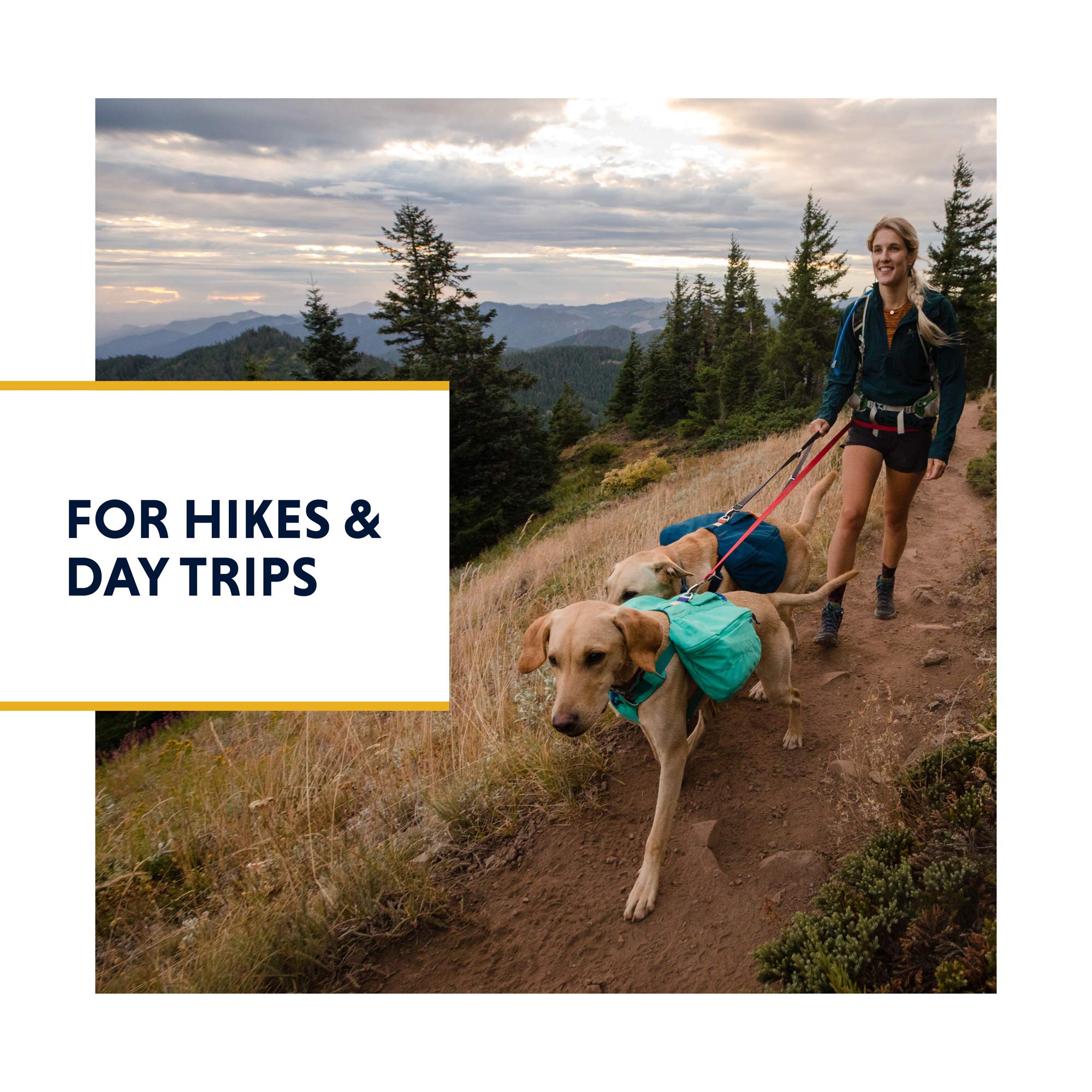 Ruffwear, Front Range Dog Day Pack, Backpack With Handle For Hikes & Day Trips, Blue Moon, Small