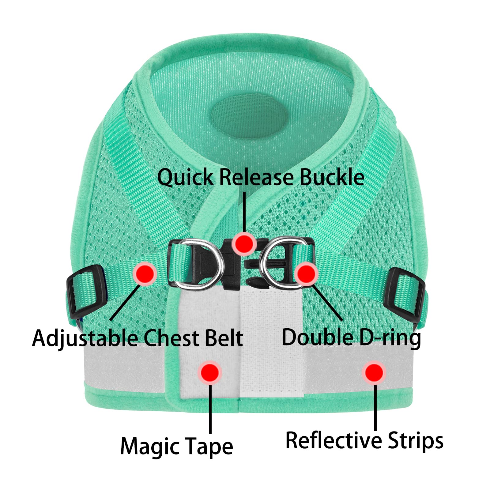 GAUTERF Adjustable Reflective Cat and Puppy Harness with Leash Set, Escape Proof Soft Mesh Vest, Cyan, XS (Chest: 6 - 8)