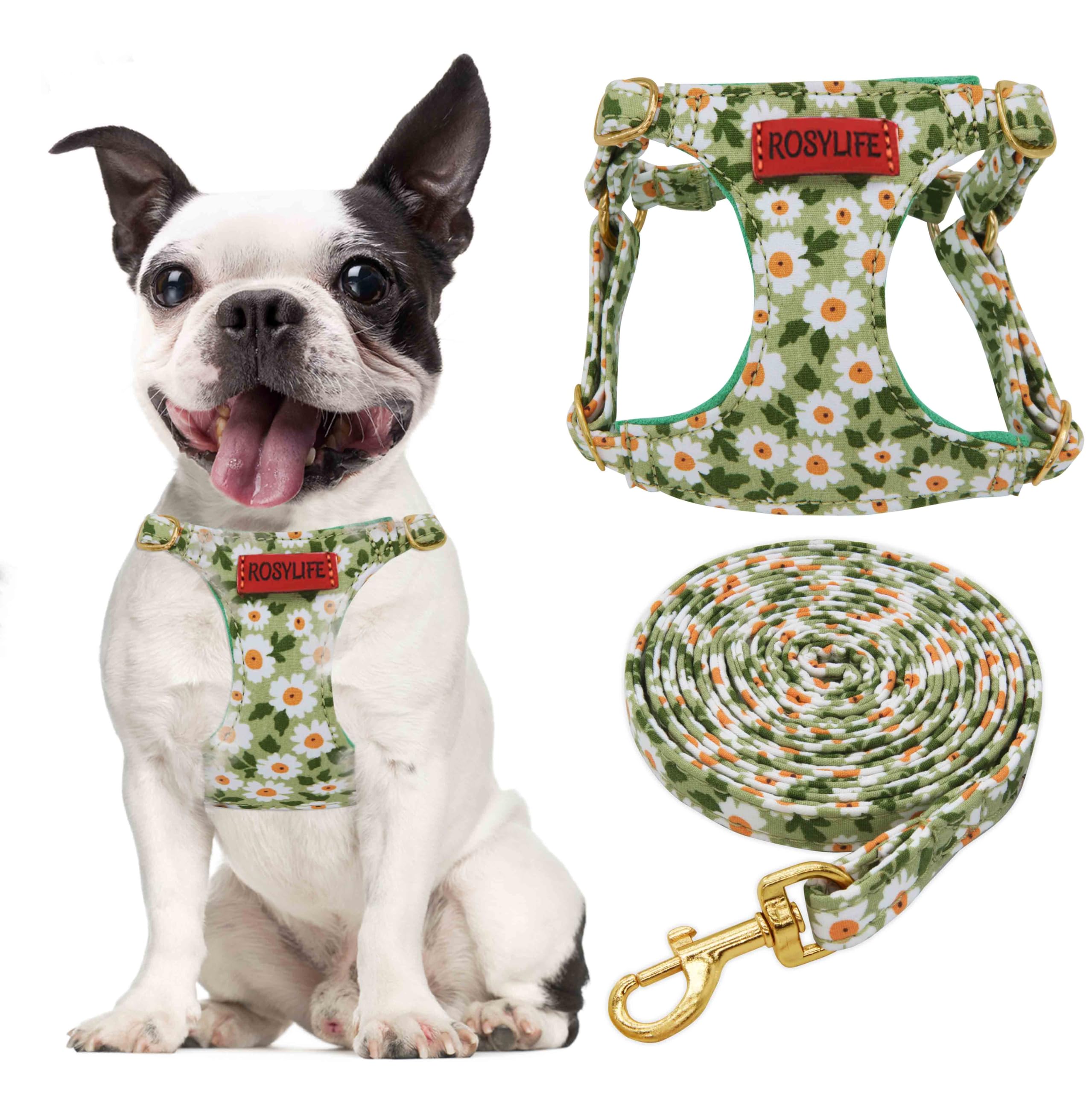 No Pull Dog Harness Adjustable Small Pet Harness And Leash Set, Lightweight And Soft Dog Harness No Choke Escape Proof Pet Harne