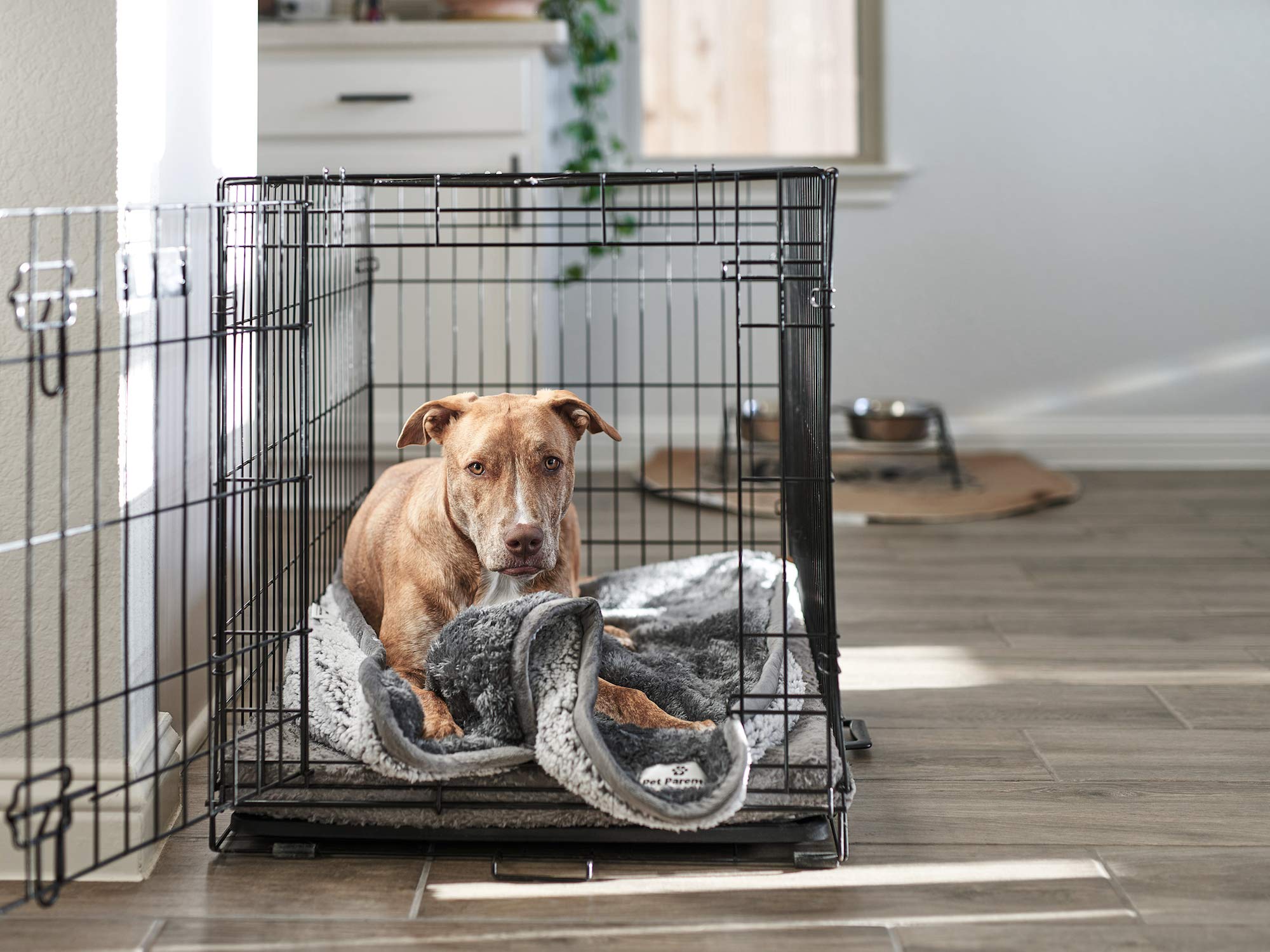 Pet Parents Pawtect Blanket, Premium Waterproof Cat & Dog Blanket With Wickquick & Sherpup Technology, Puppy Blanket, Waterproof Dog Blanket, Blankets For Dogs, Cat Blanket Slate 24X32