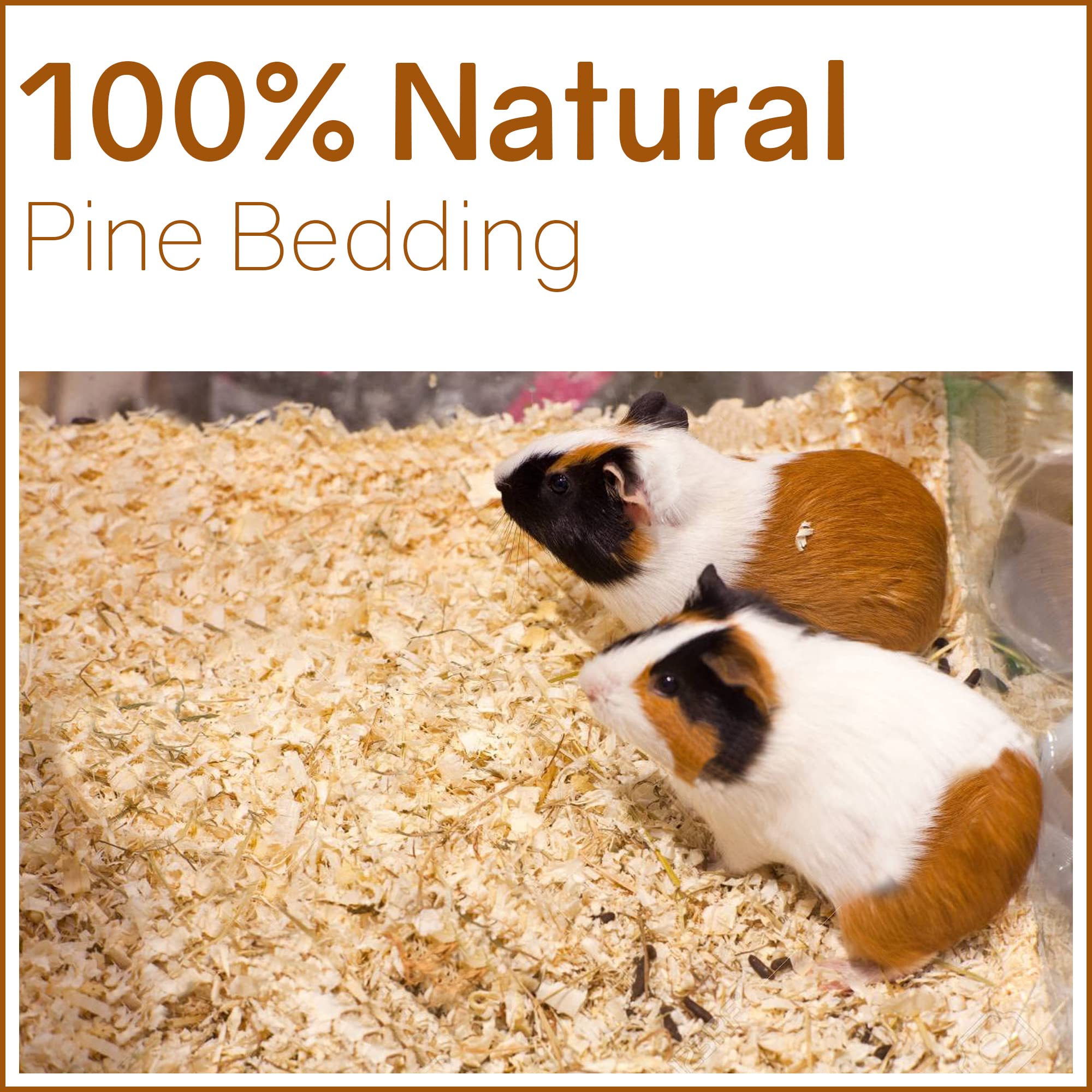 Greaton Premium Natural Pine Animal Bedding - Dust-Free, Soft Shavings, Kiln-Dried & Heat-Treated For Indoor And Outdoor Pets