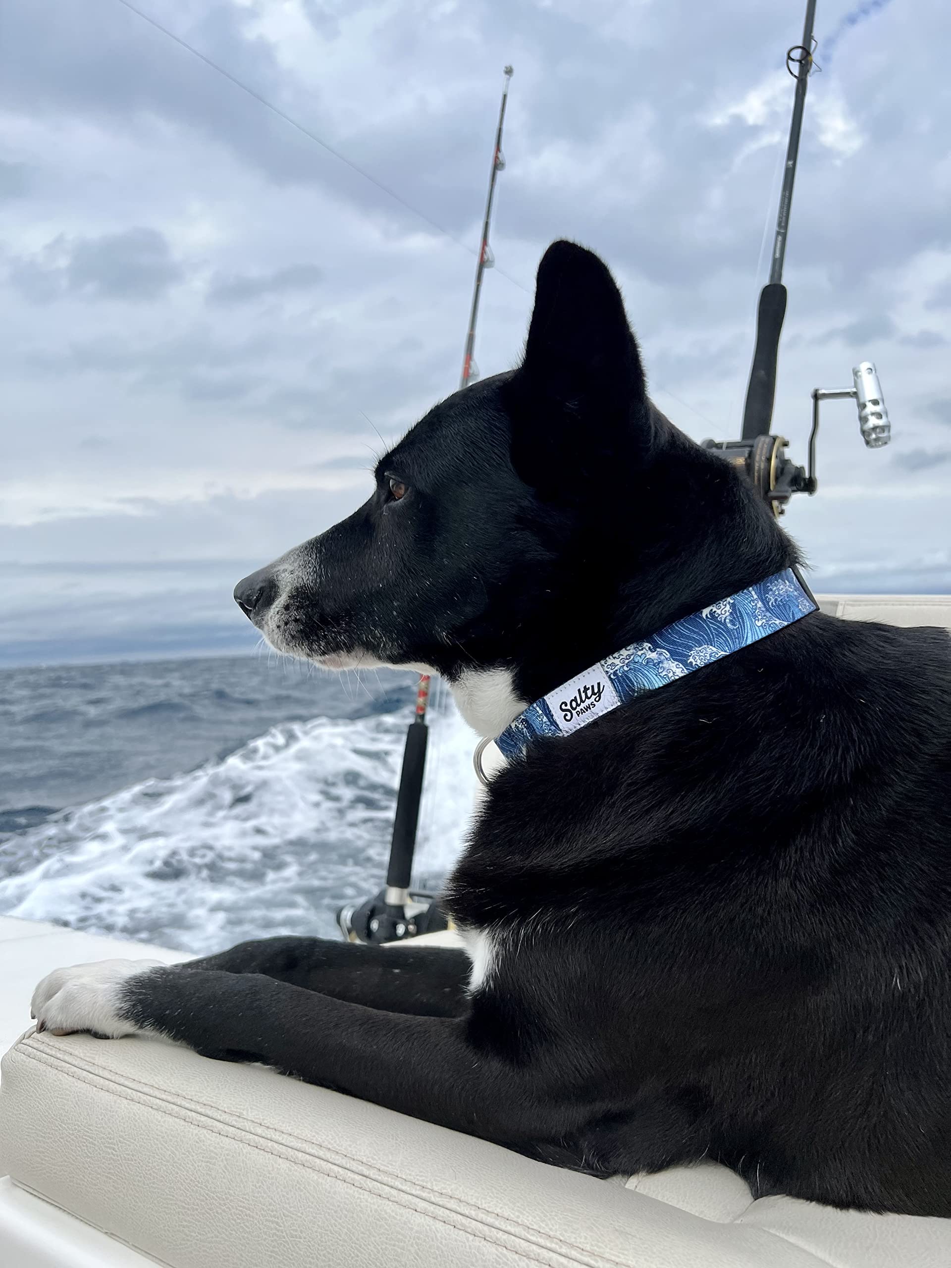 Shaka's Salty Paws Medium Dog Collar - Adjustable 14-20", Blue Wave, for Dogs 25-50 lbs, Durable Polyester