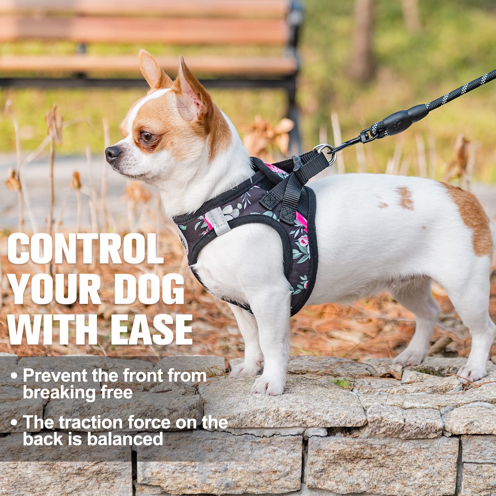 Beautyzoo Step In Dog Leash Set, Floral Pattern Reflective Harness No Pull No Choke Puppy Harness For Xxs Xs S Pets, Soft Padded